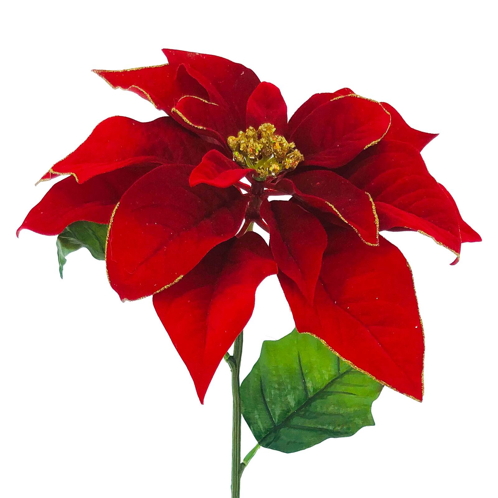 Tige de poinsettia rouge &#xE0; paillettes dor&#xE9;es de 71,1 cm d&#x27;Ashland