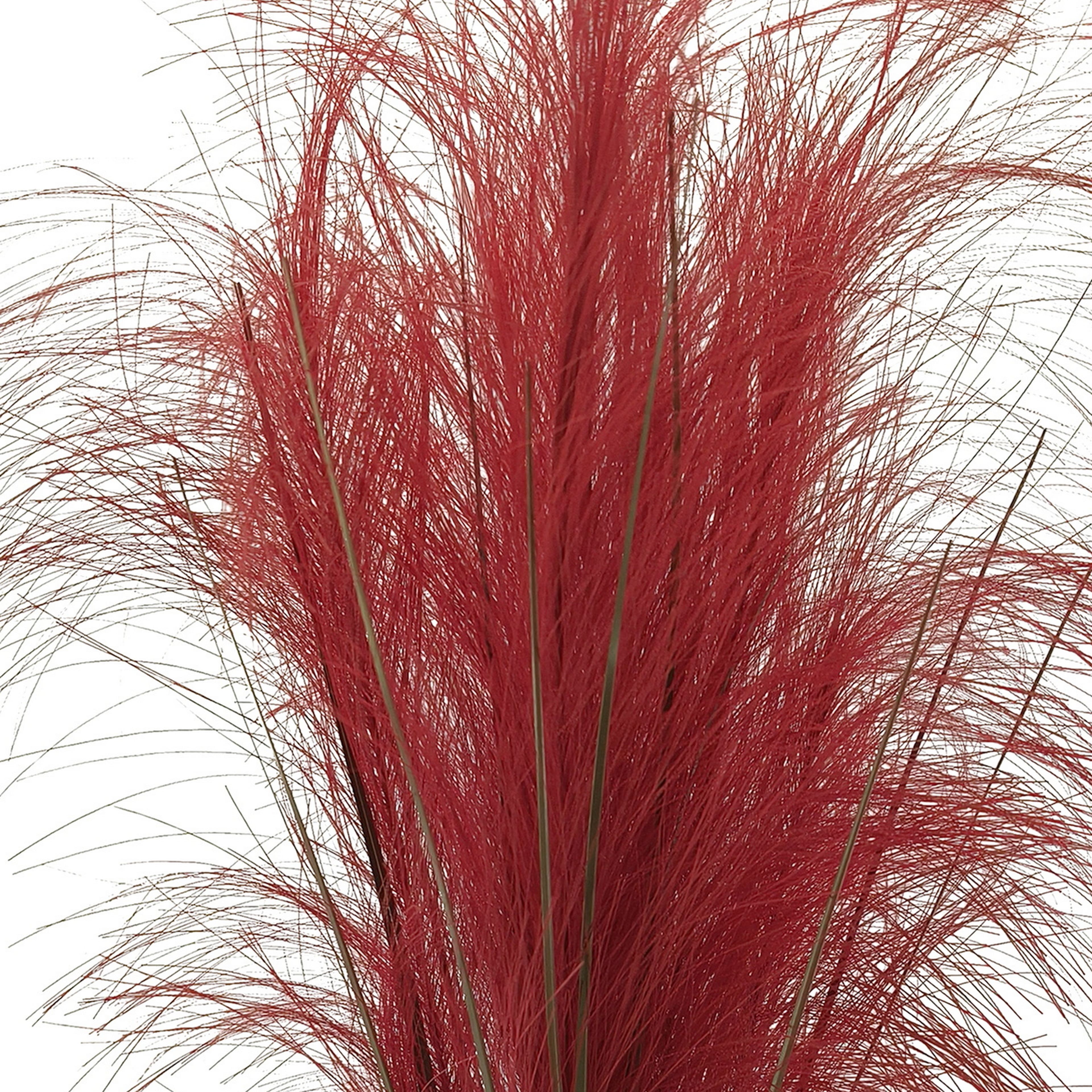 24&#x22; Pampas Grass Bush by Ashland&#xAE;