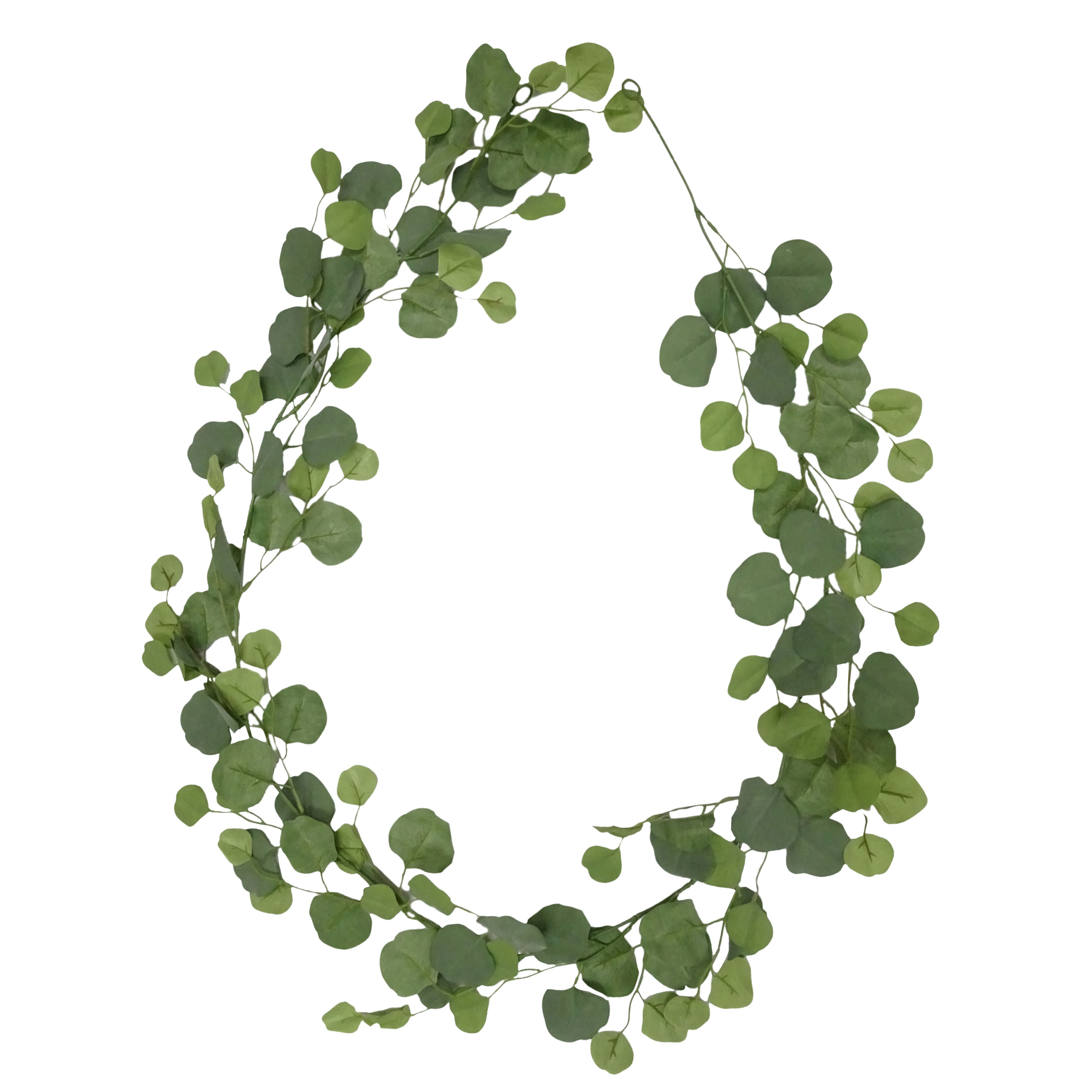 6ft. Eucalyptus Garland by Ashland®
