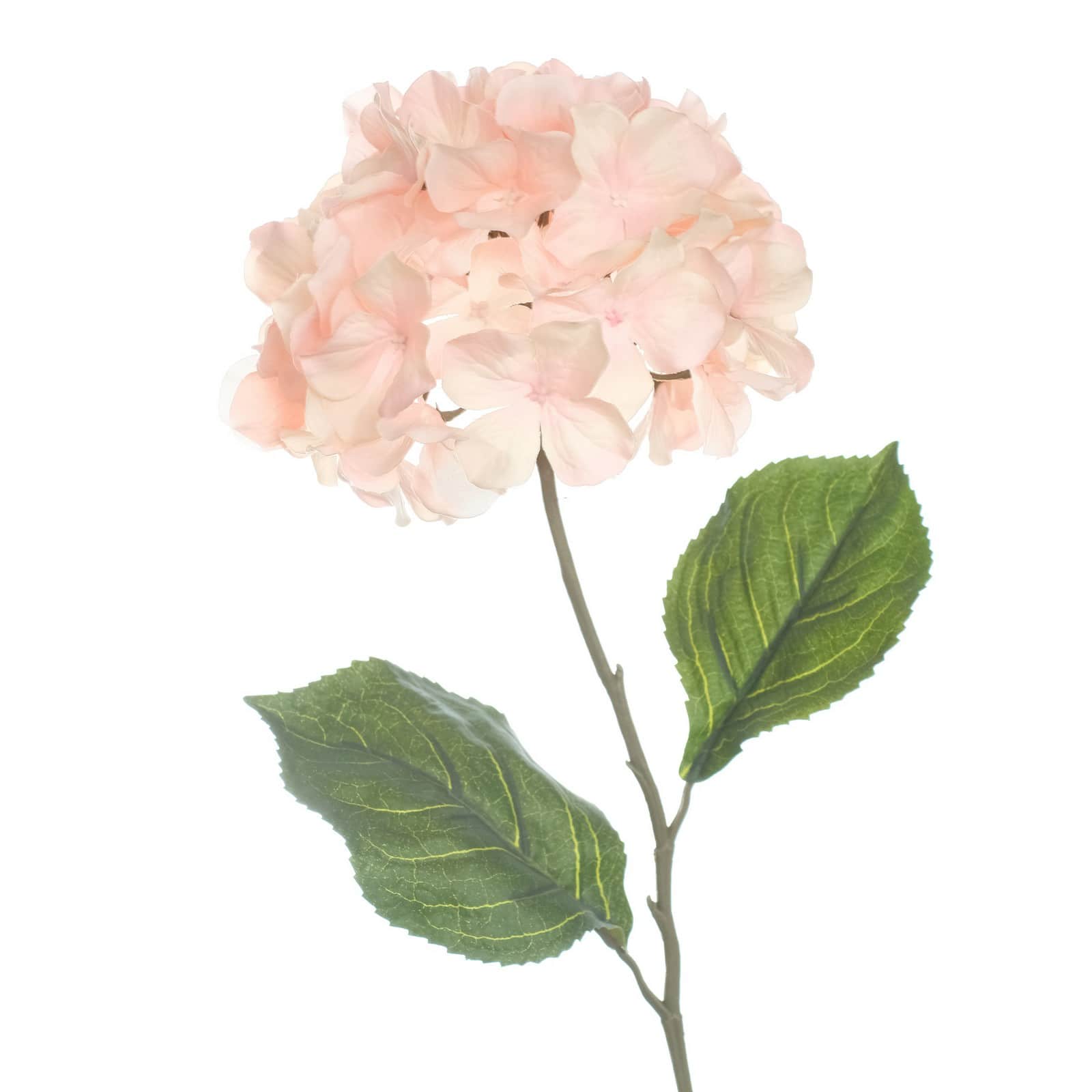 12 Pack: Peach Pink Hydrangea Stem by Ashland®