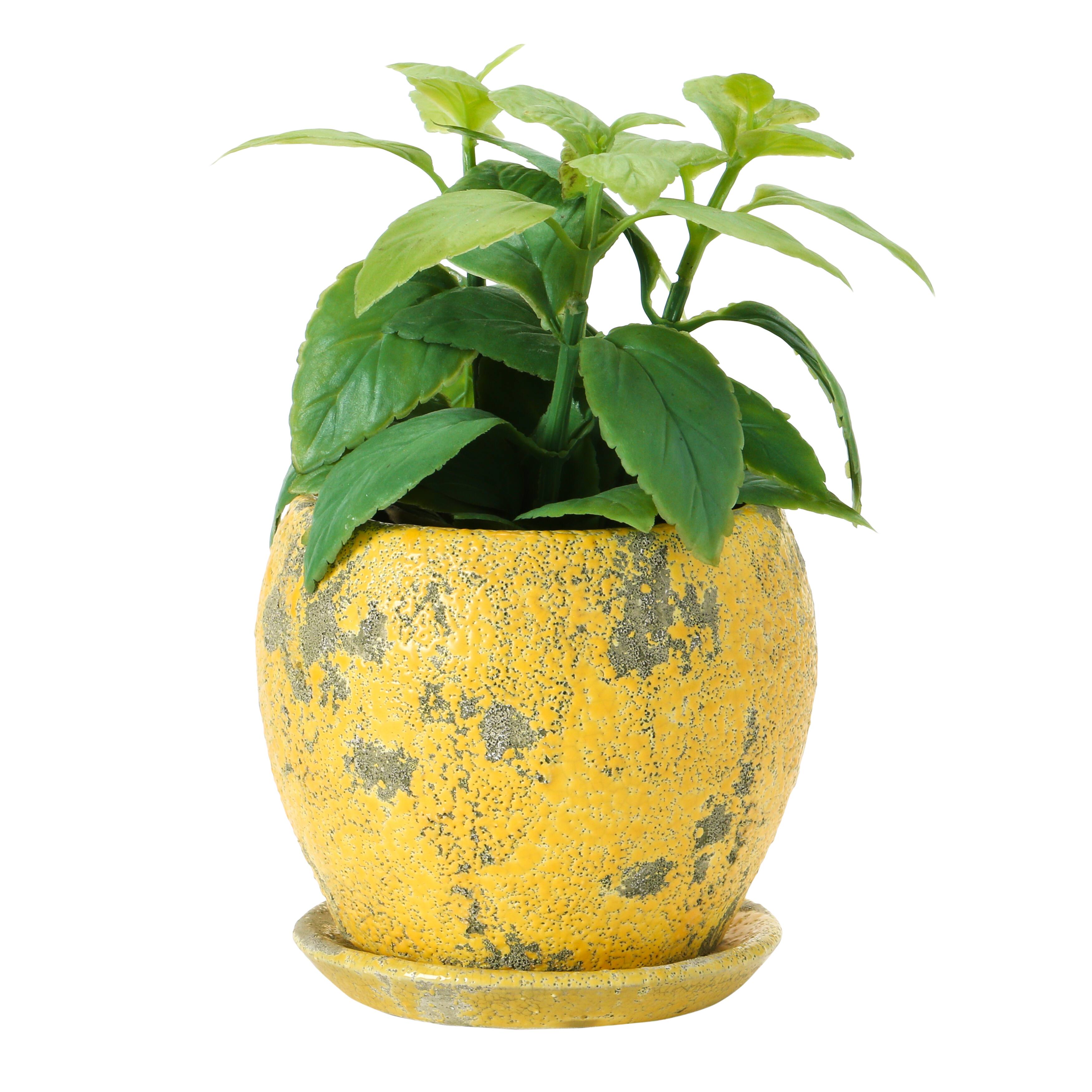 Hello Honey® 5" Distressed Yellow Terra Cotta Planter with Saucer Set