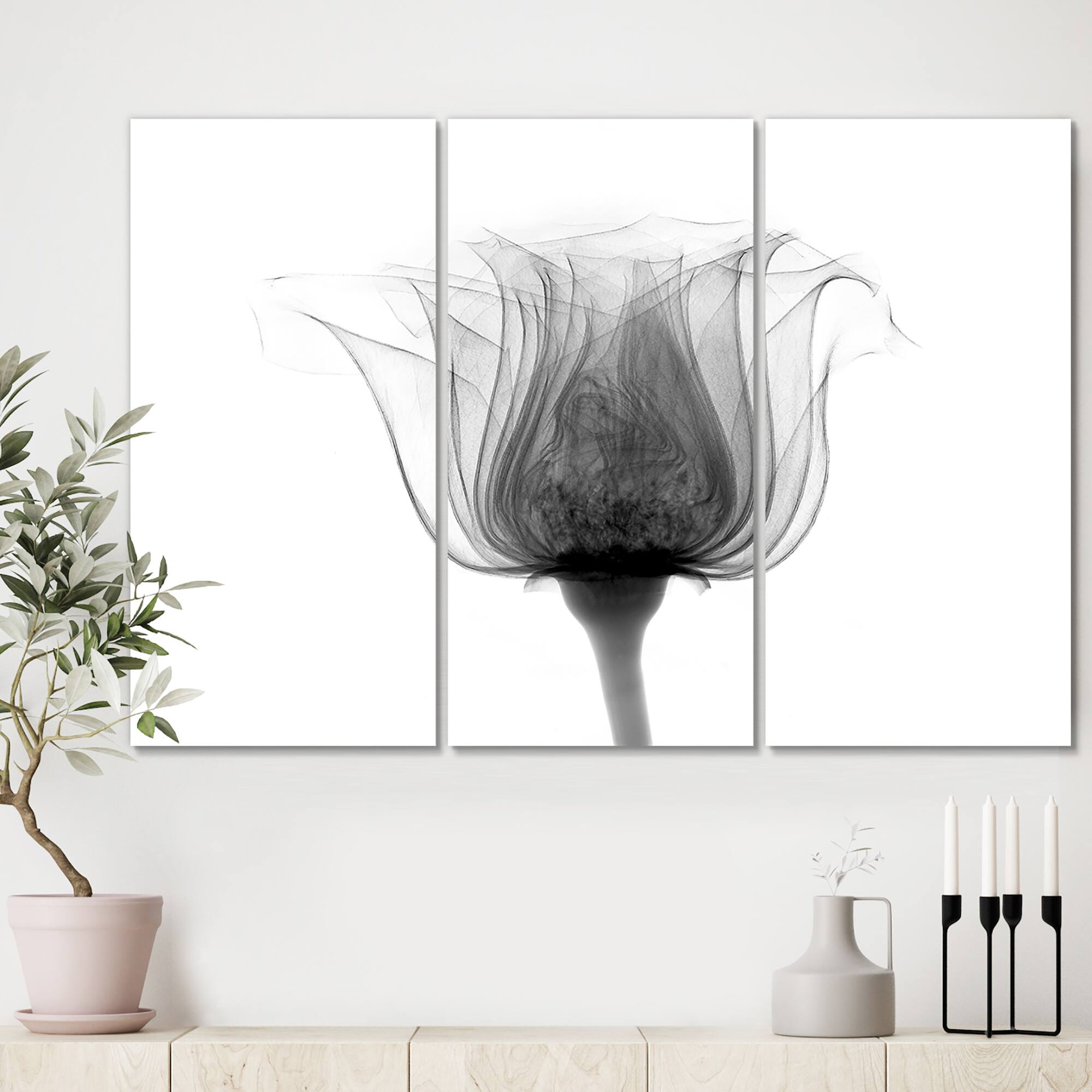 Designart - Rose ,Noma X-Ray