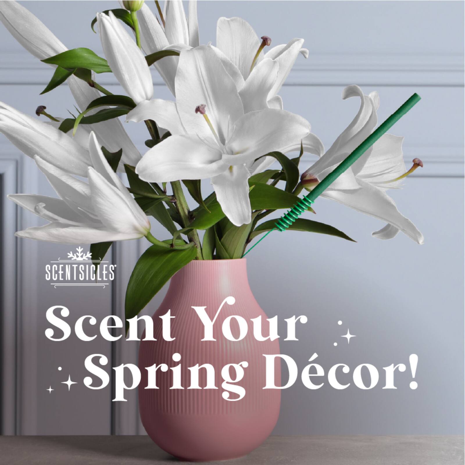 Scentsicles Stick Sun Soaked Lavender and Into the Vanilla Woods, 2 pack of 6