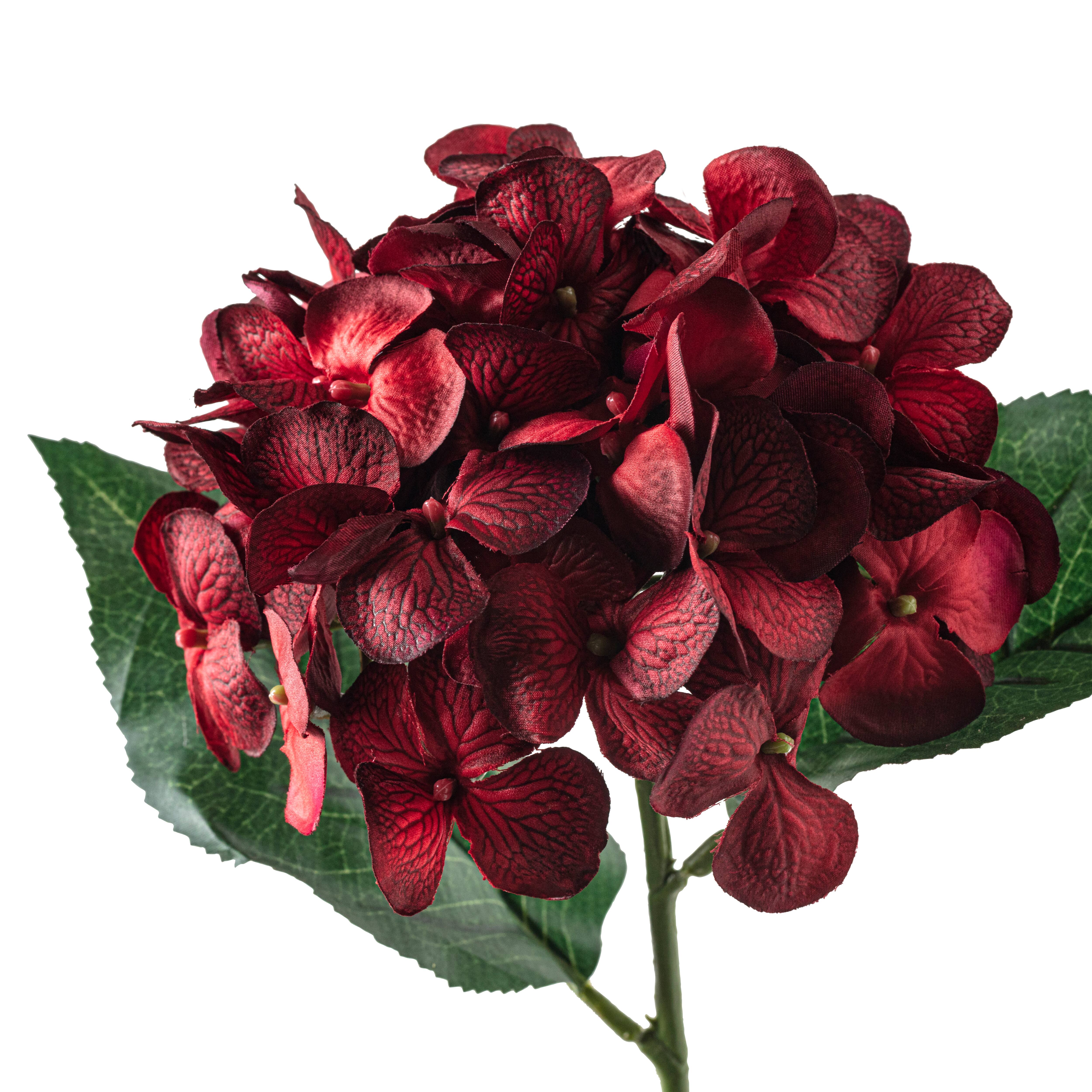 Red Hydrangea Stem by Ashland&#xAE;