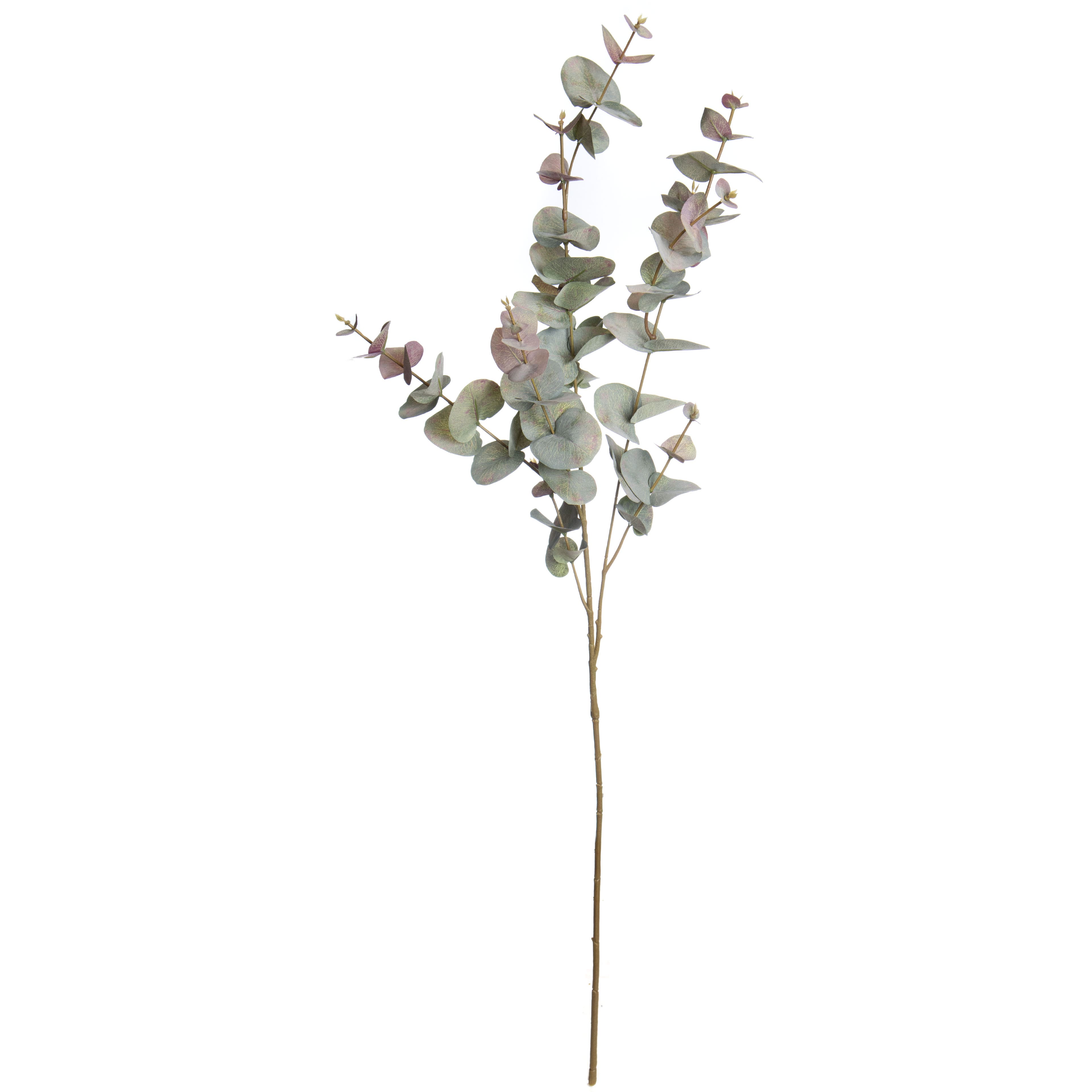 39&#x22; Green &#x26; Pink Eucalyptus Stem by Ashland&#xAE;