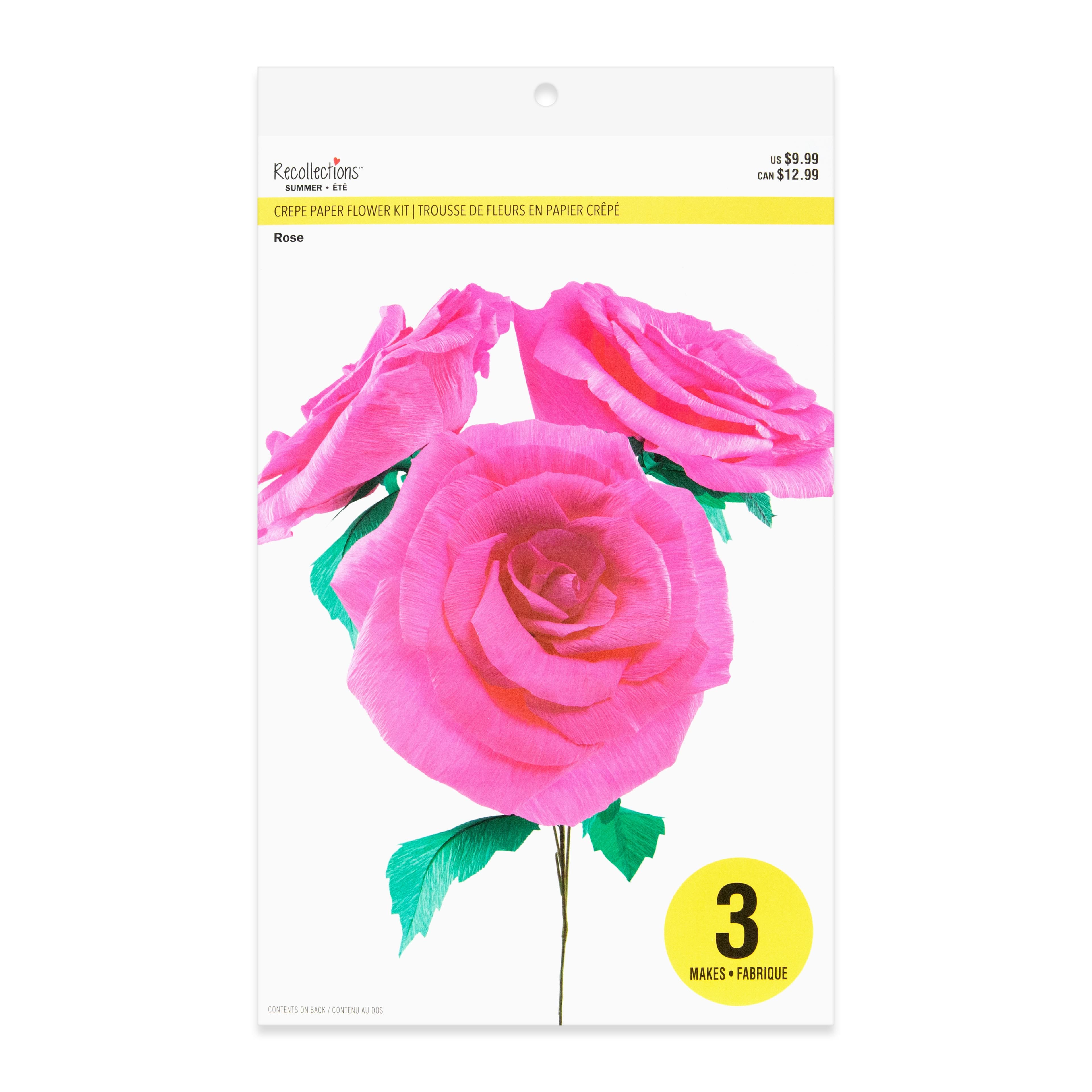 Large Rose Crepe Paper Flower Kit by Recollections&#x2122;
