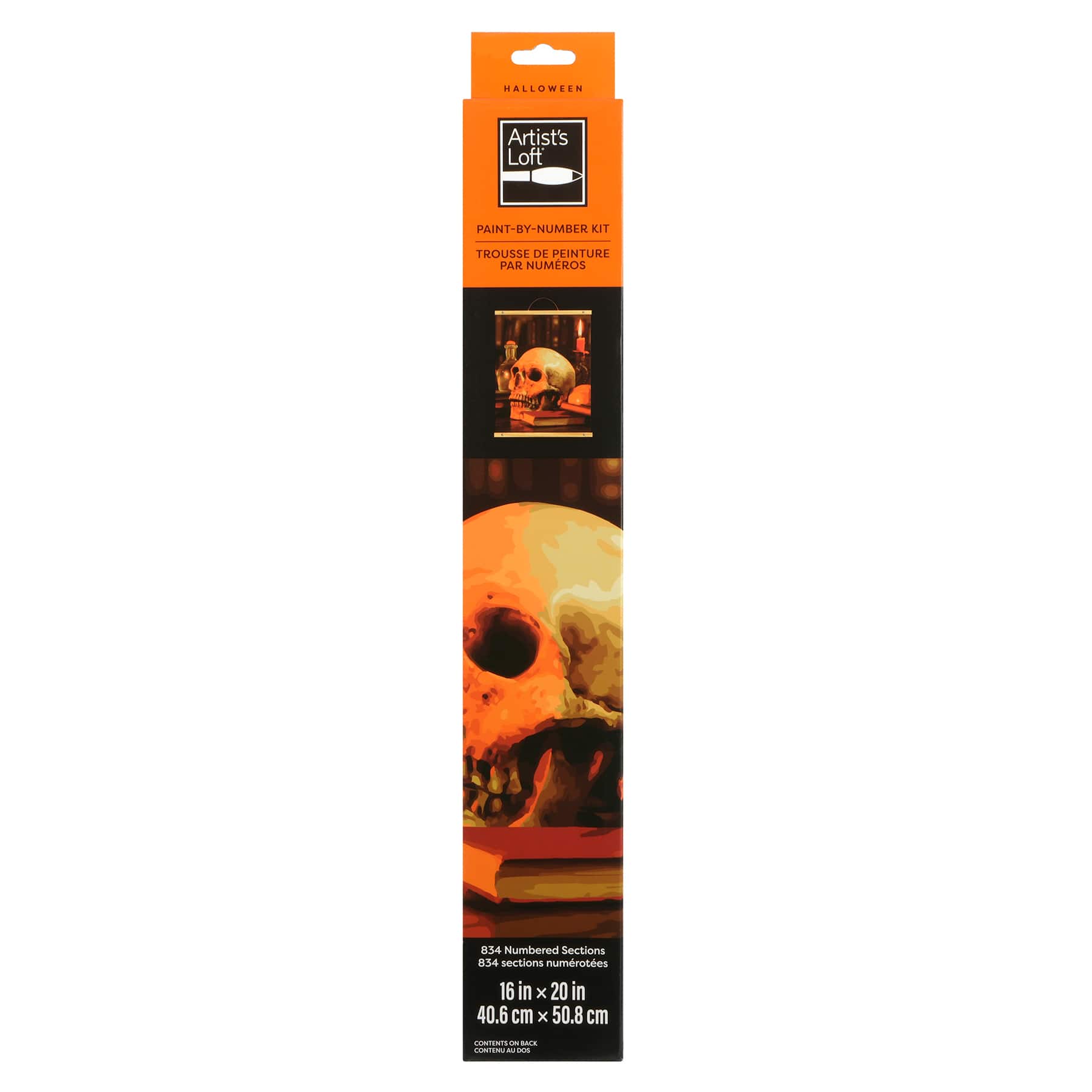 16&#x22; x 20&#x22; Skull Library Paint-by-Number Kit with Wood Display Hanger by Artist&#x27;s Loft&#xAE;