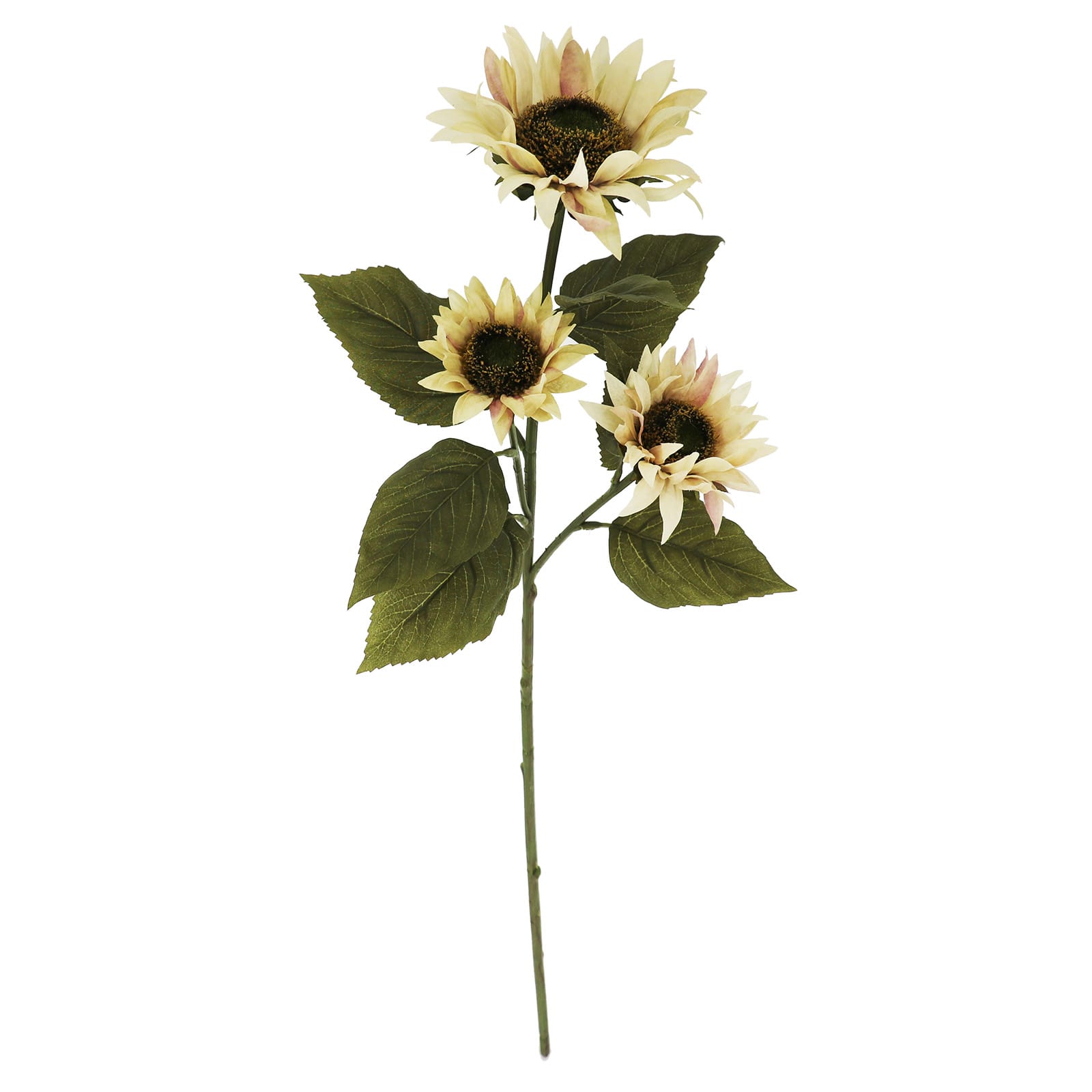 29&#x22; Cream Sunflower Stem by Ashland&#xAE;