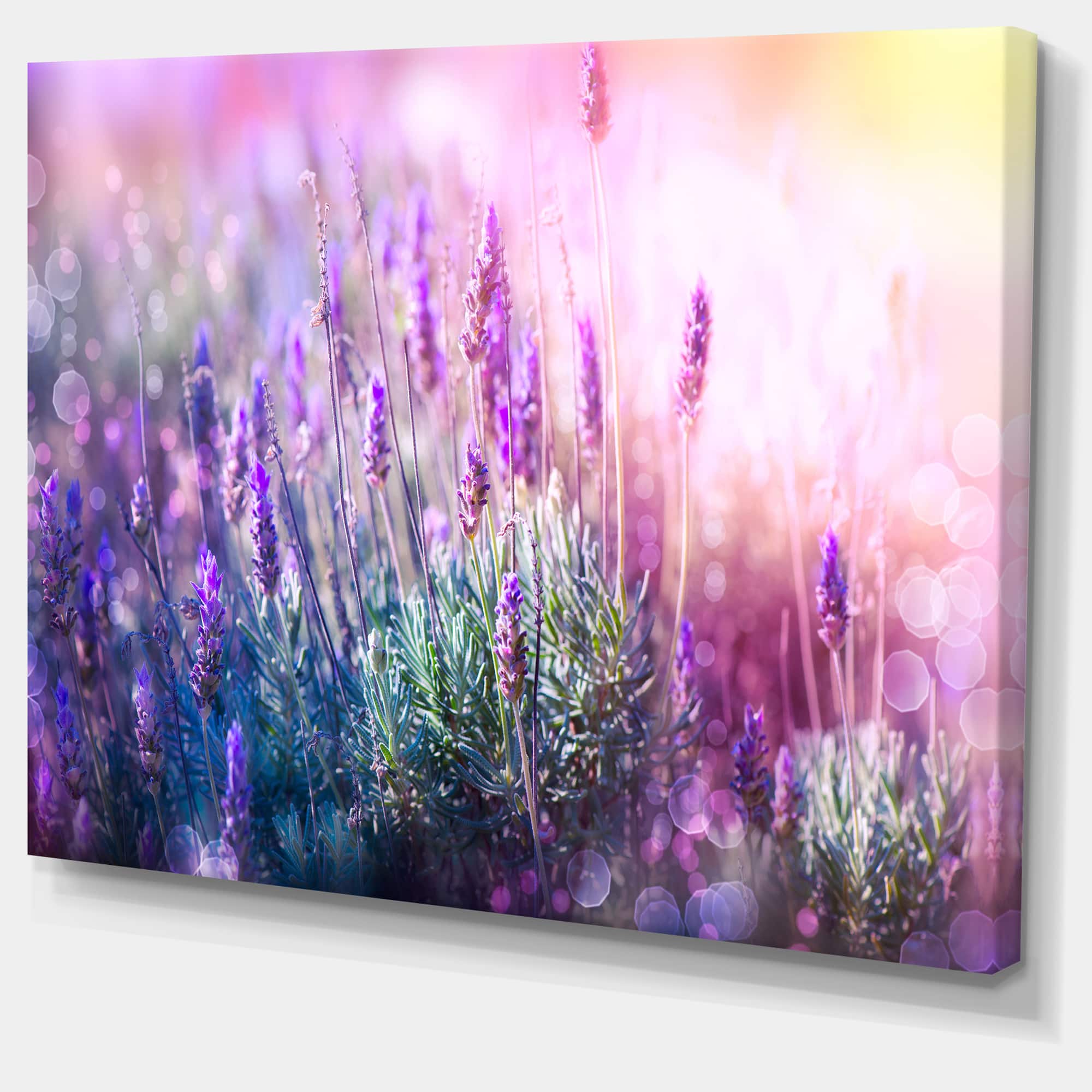 Designart - Growing and Blooming Lavender - Floral Canvas Art print