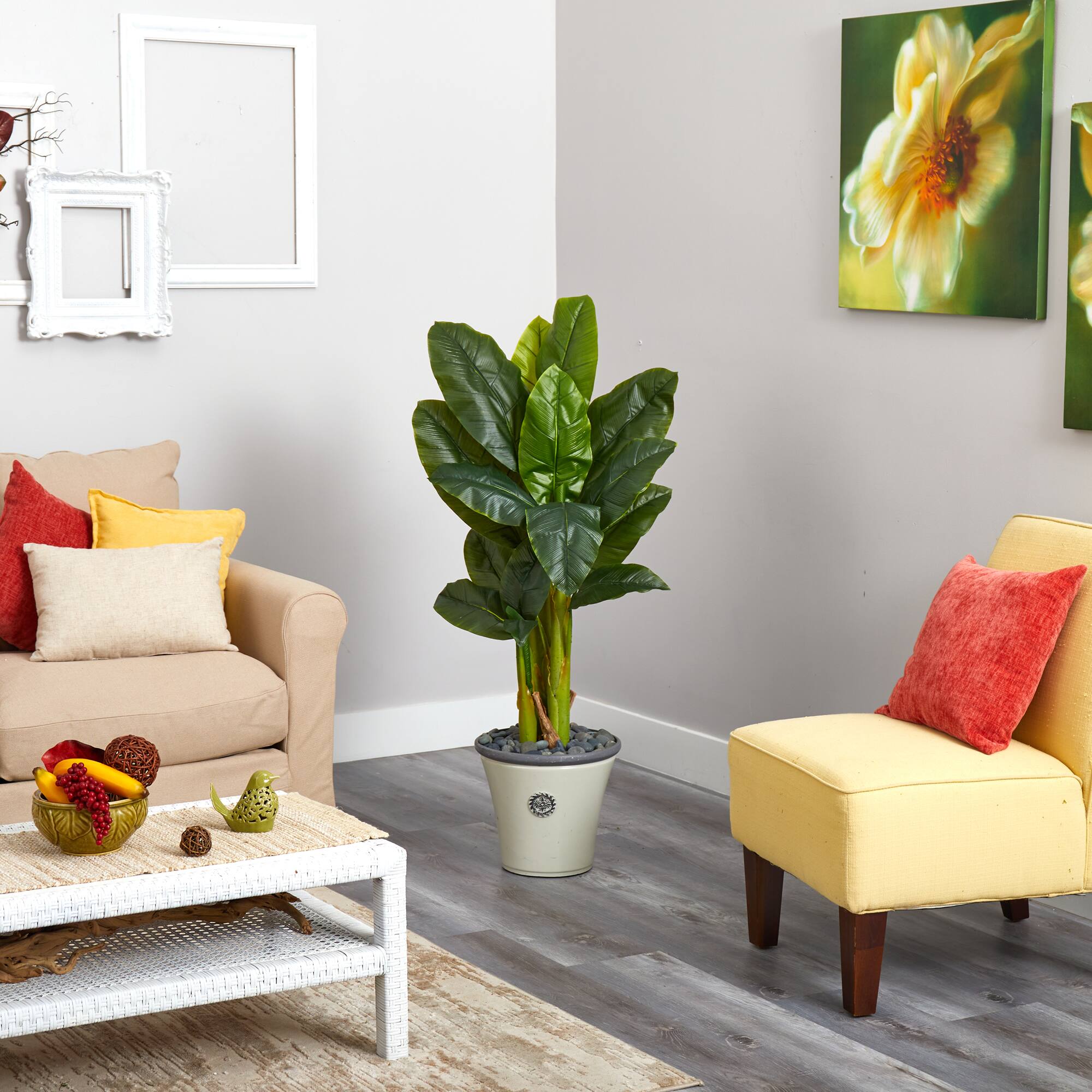 4.5ft. Triple Stalk Banana Tree in Decorative Planter