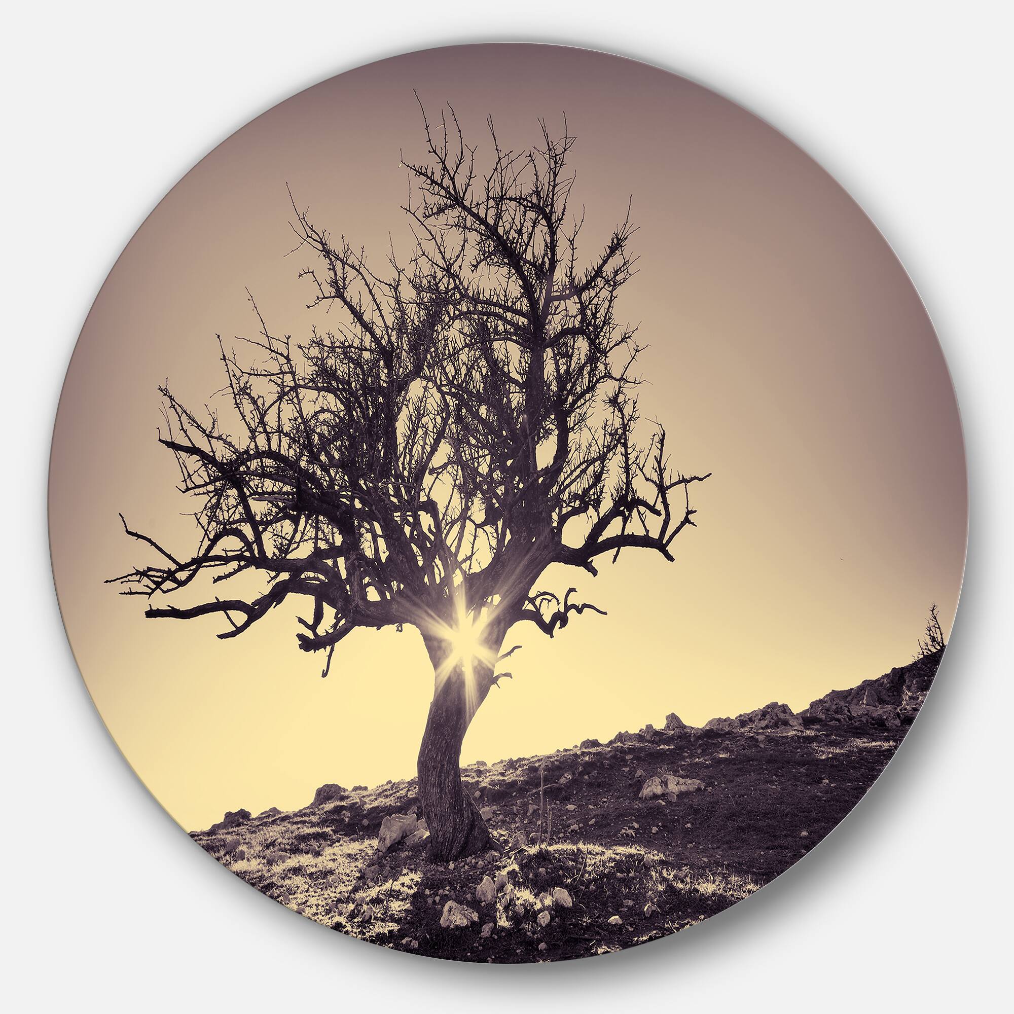 Designart - Lonely Grey Tree in Mountain' Extra Large Wall Art Landscape