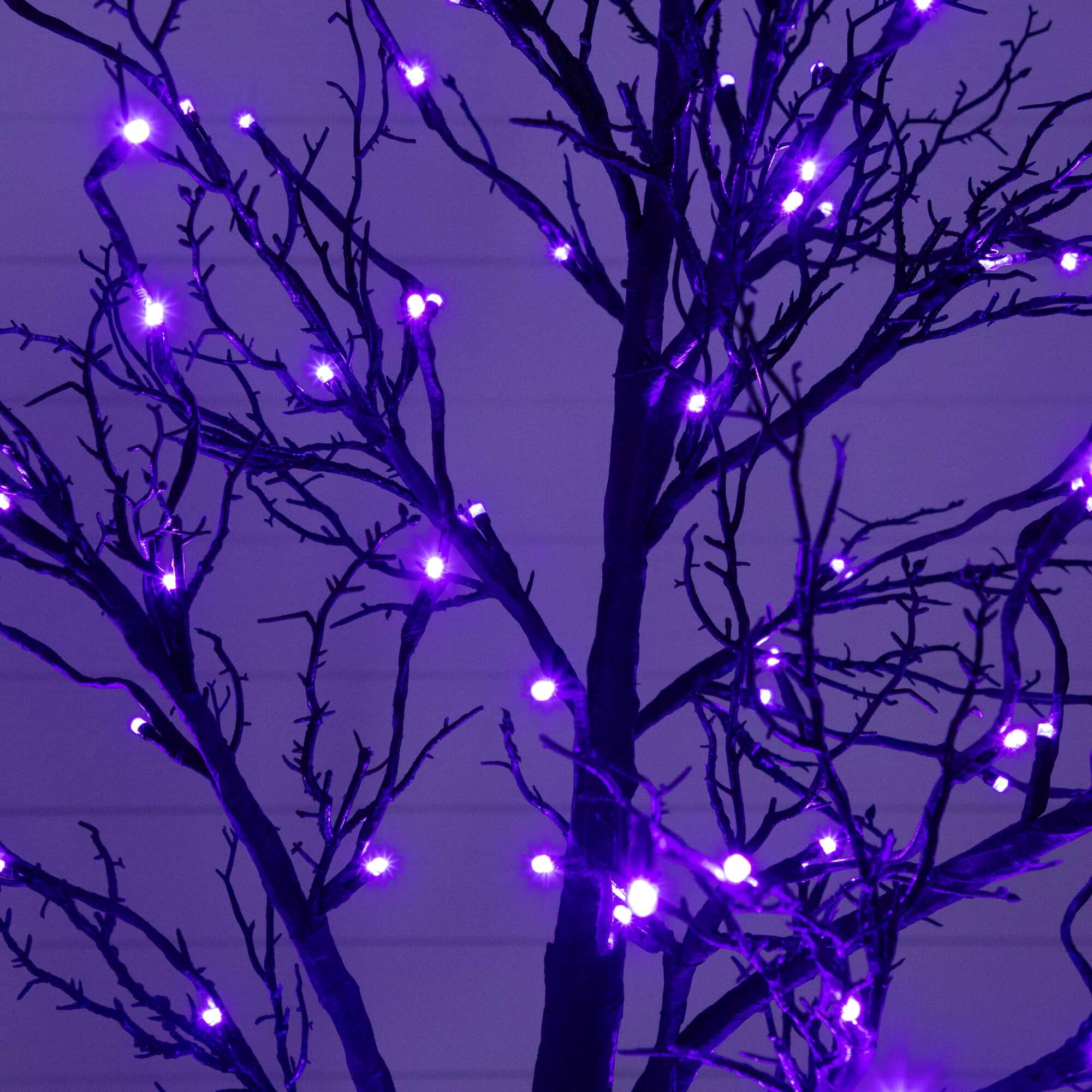 7ft. Pre-Lit Halloween Deluxe Black Twig Artificial Tree with 180 Orange & Purple LED Lights