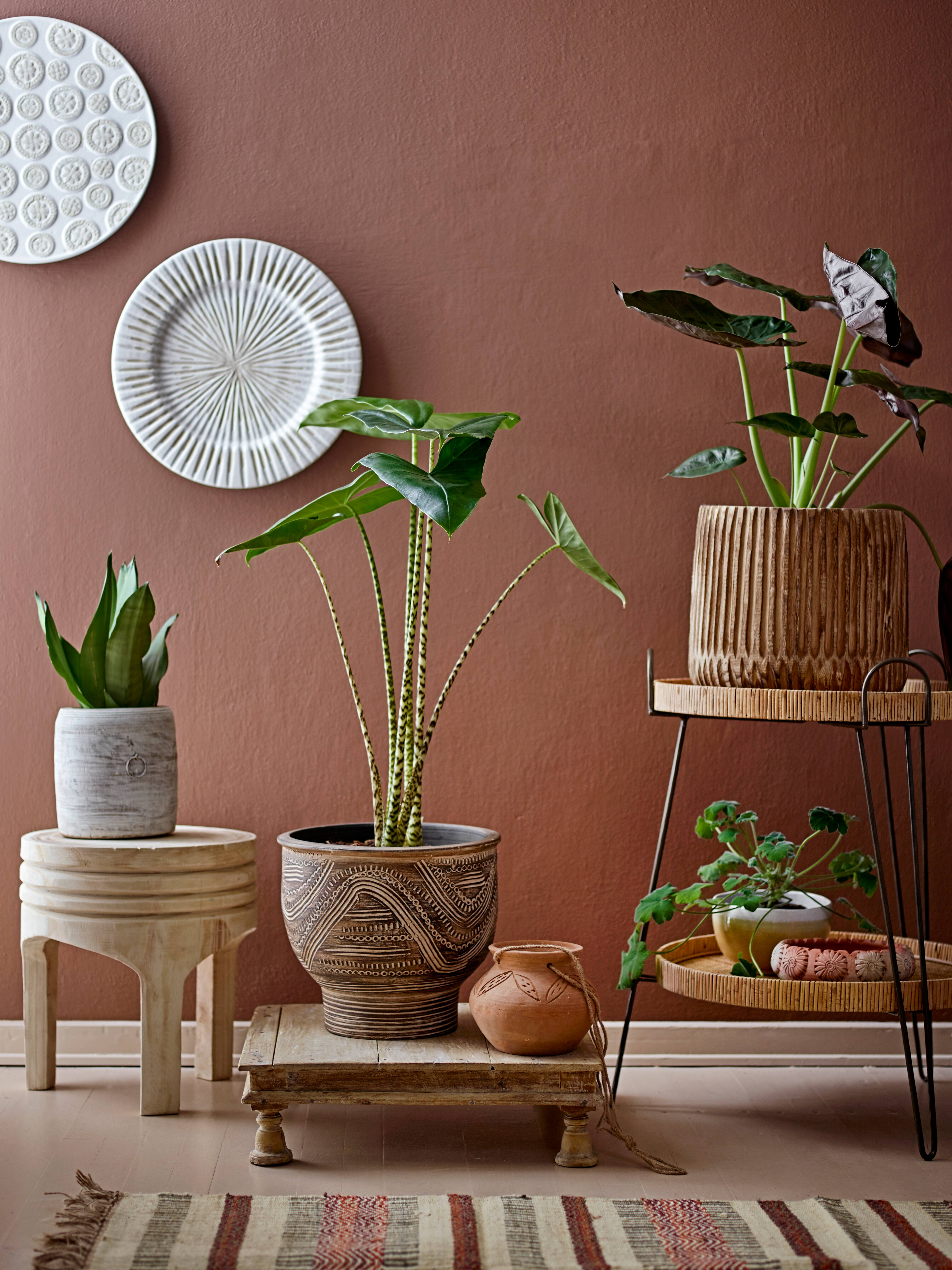 Hello Honey® 16" Paulownia Wood Stool