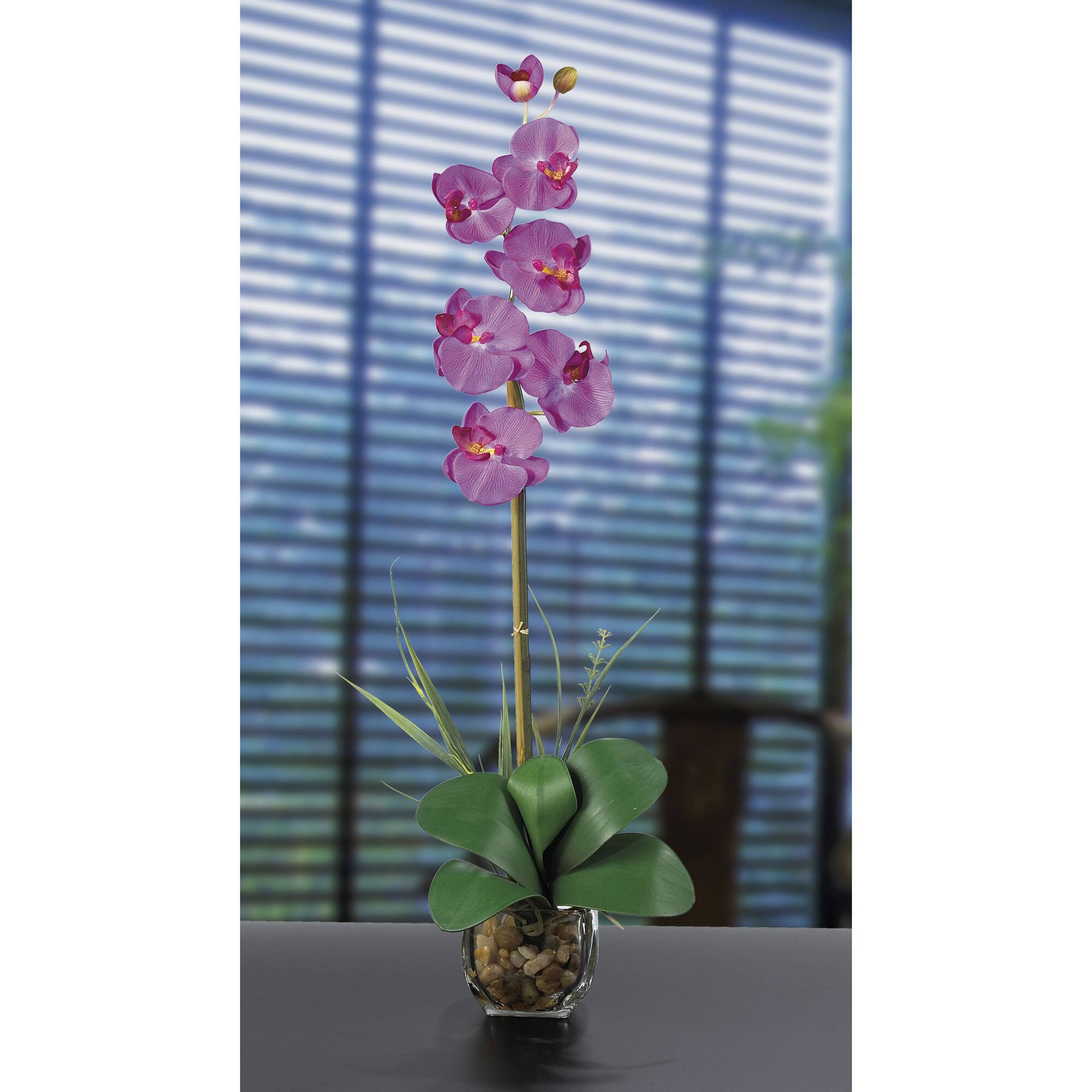 2.3ft. Fuchsia Orchid Arrangement with Vase