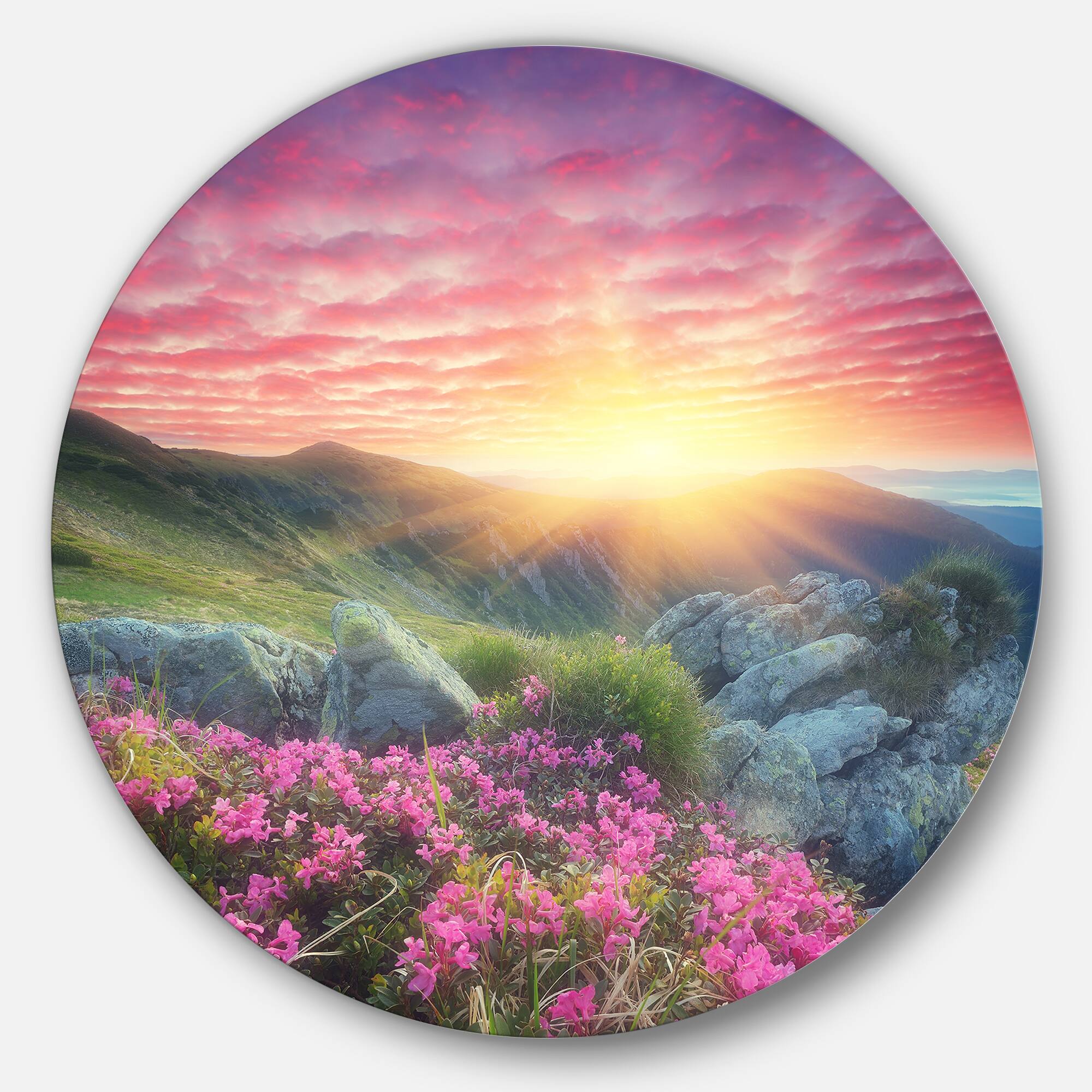 Designart - Morning with Flowers in Mountains&#x27; Landscape Photography Circle Metal Wall Art