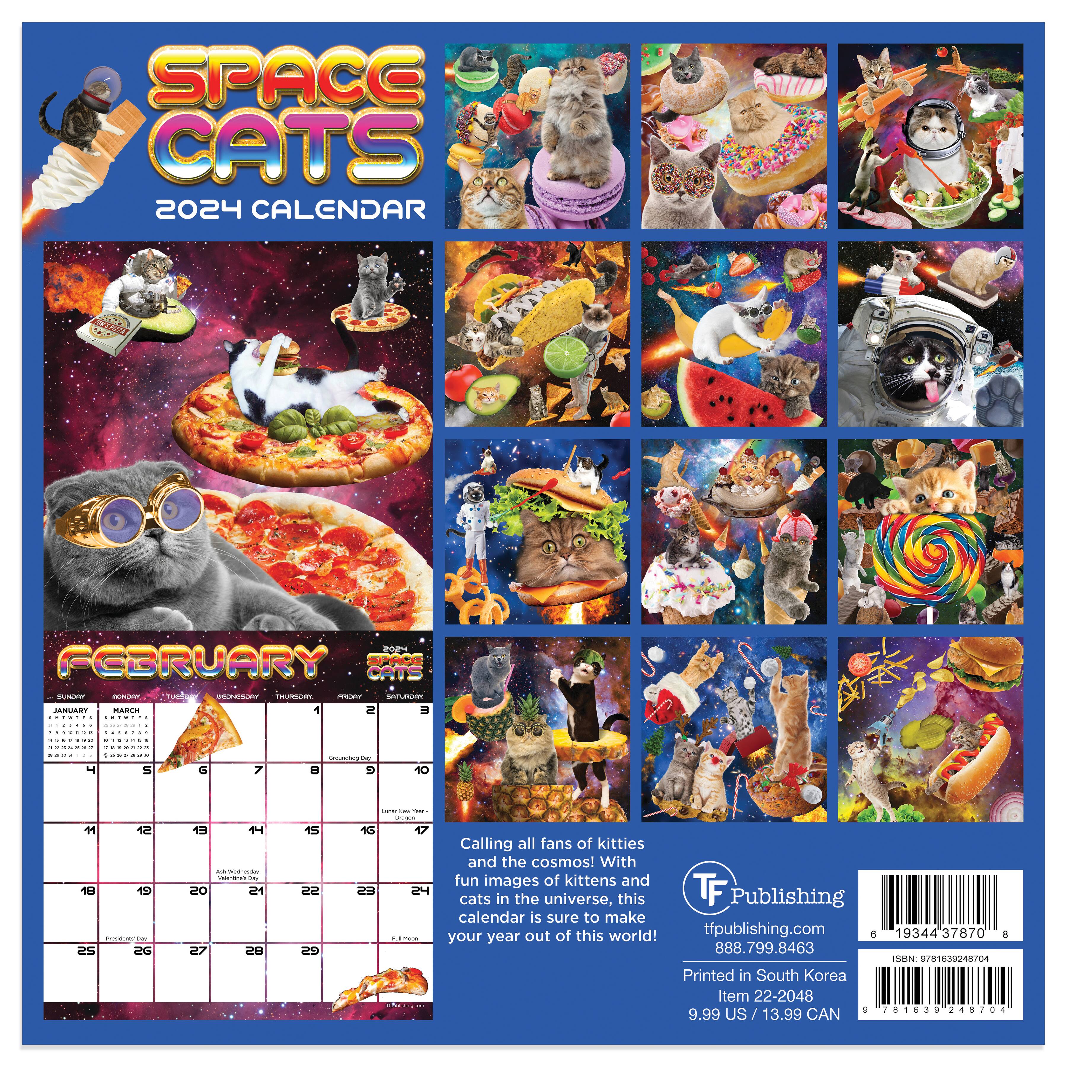 TF Publishing 2024 Space Cats Mini Calendar
