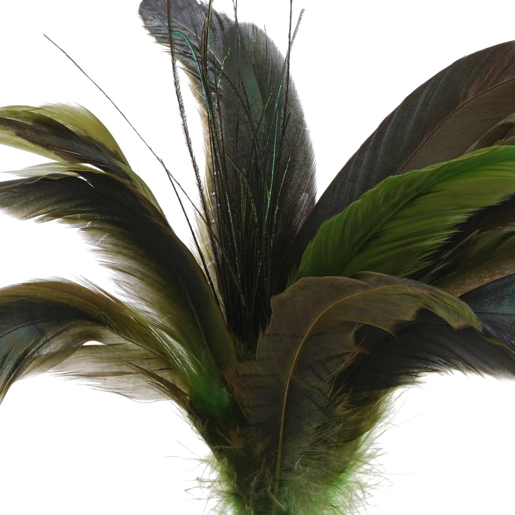 Green Peacock Feather Pick by Ashland®