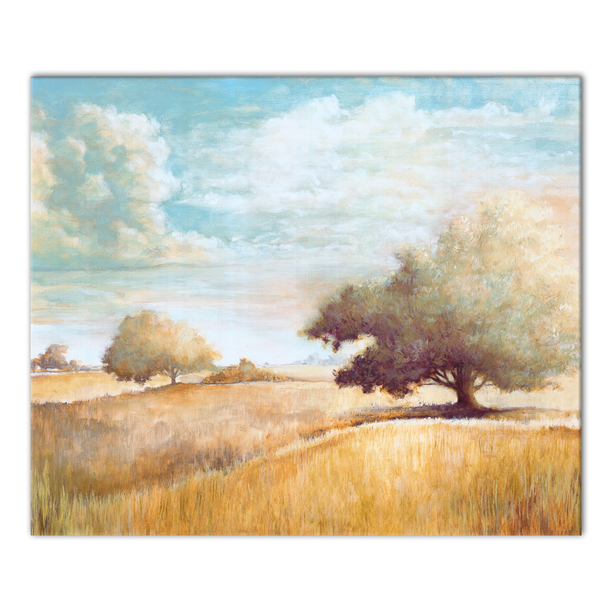 Painted Field And Trees 24" x 20" Canvas Wall Art