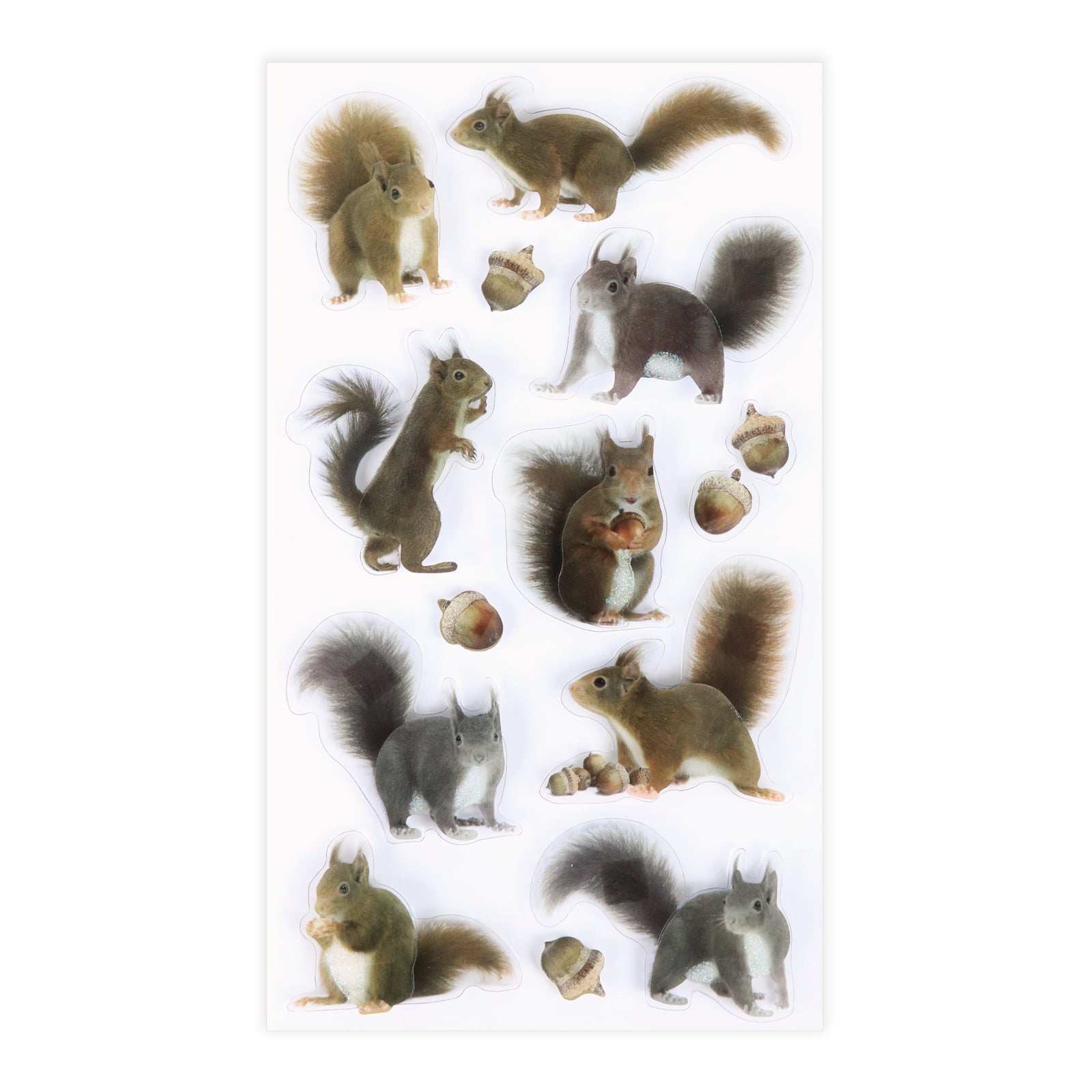 12 Pack: Squirrel Stickers by Recollections™