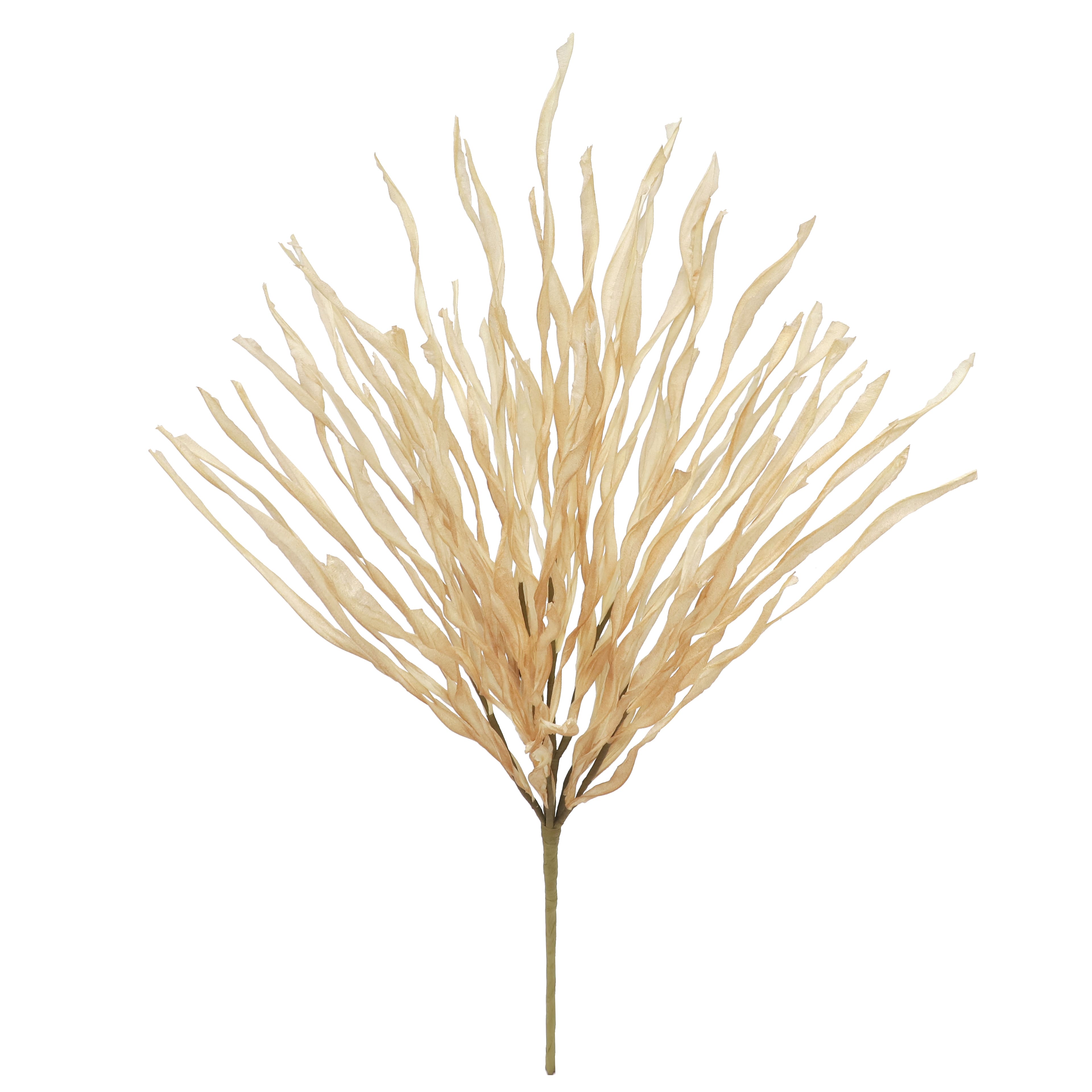 24.5&#x22; Grass Bush by Ashland&#xAE;