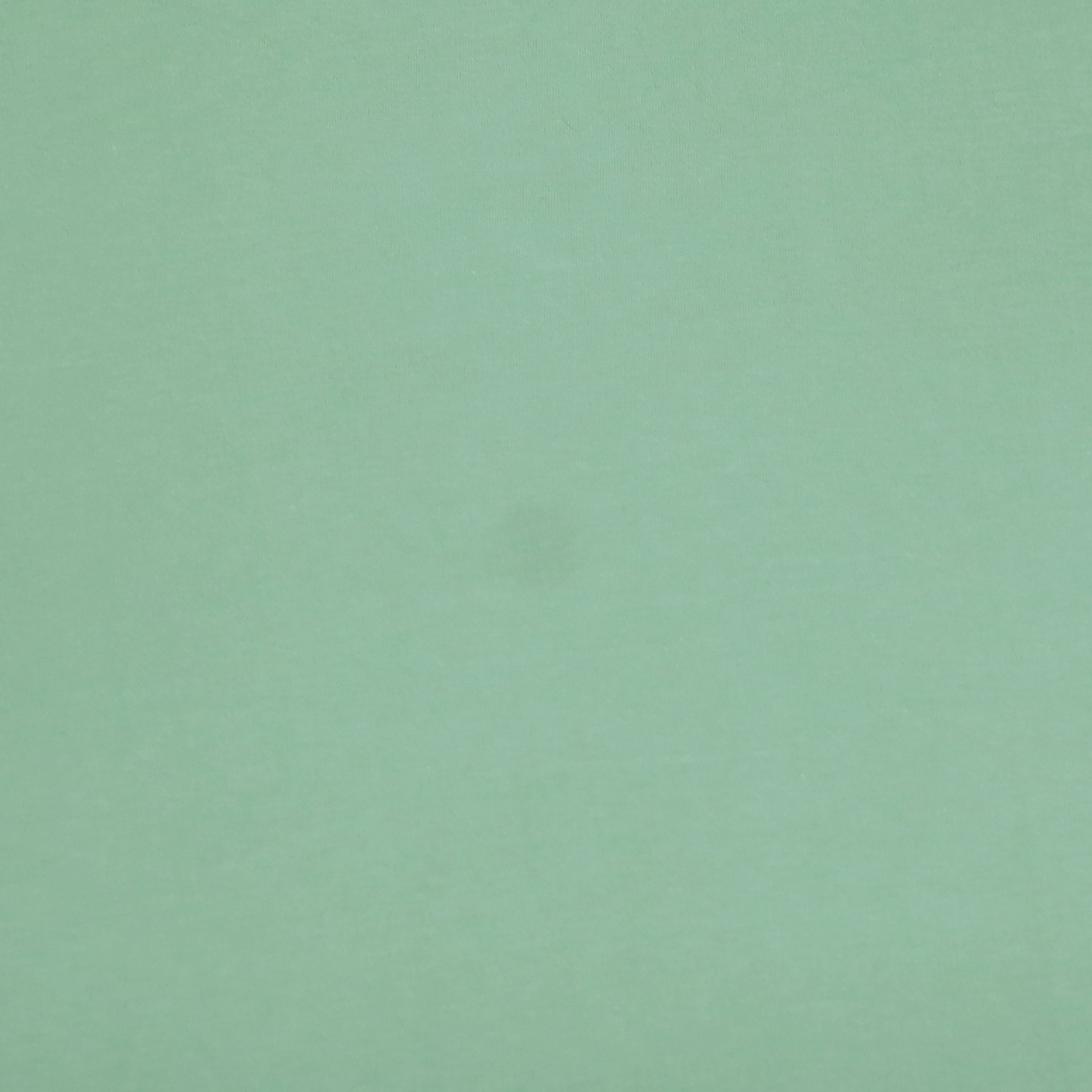 Fabric Merchants Solid Cotton Jersey Knit Fabric