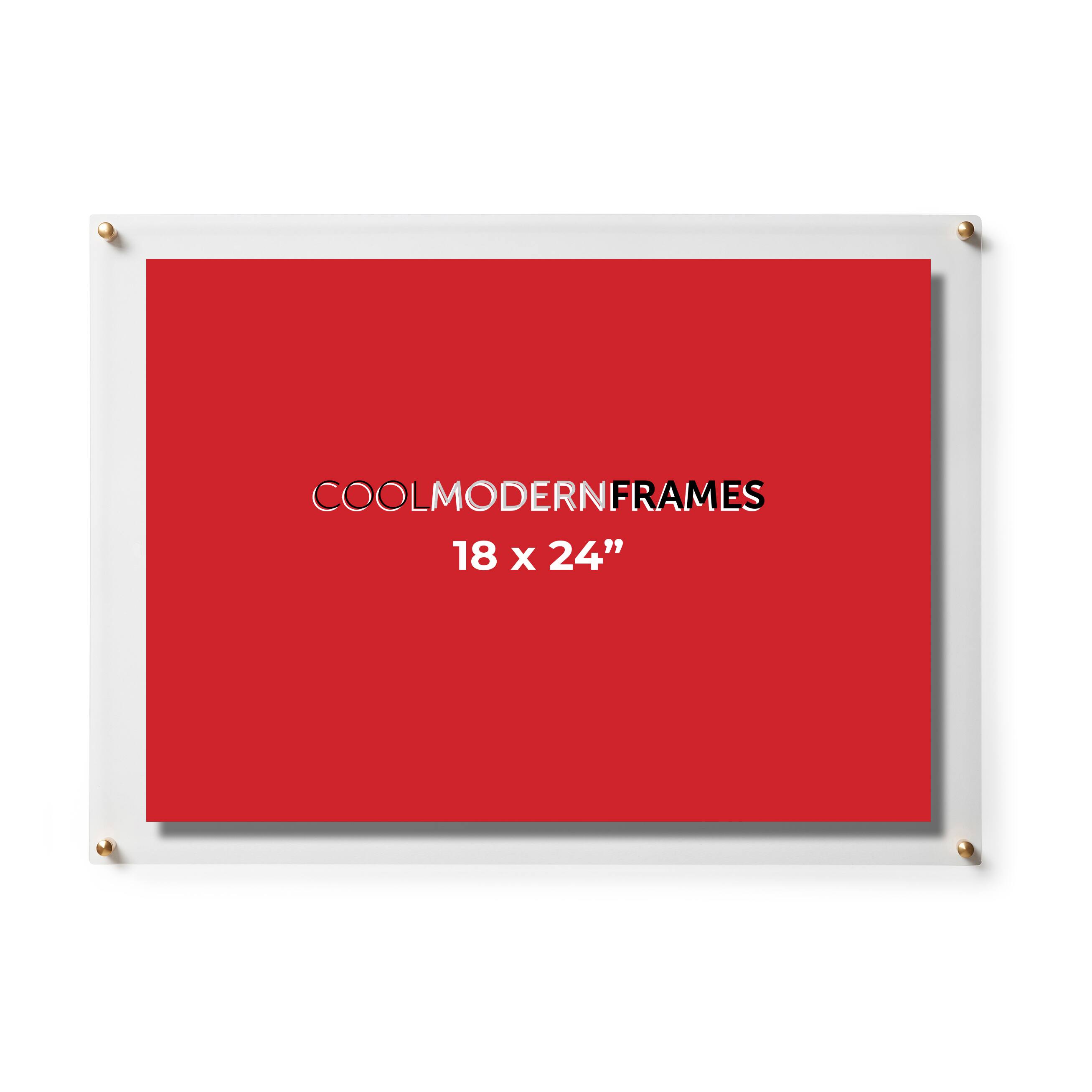 Cool Modern Frames 2 Pack Clear Acrylic Float Frame with Gold Hardware