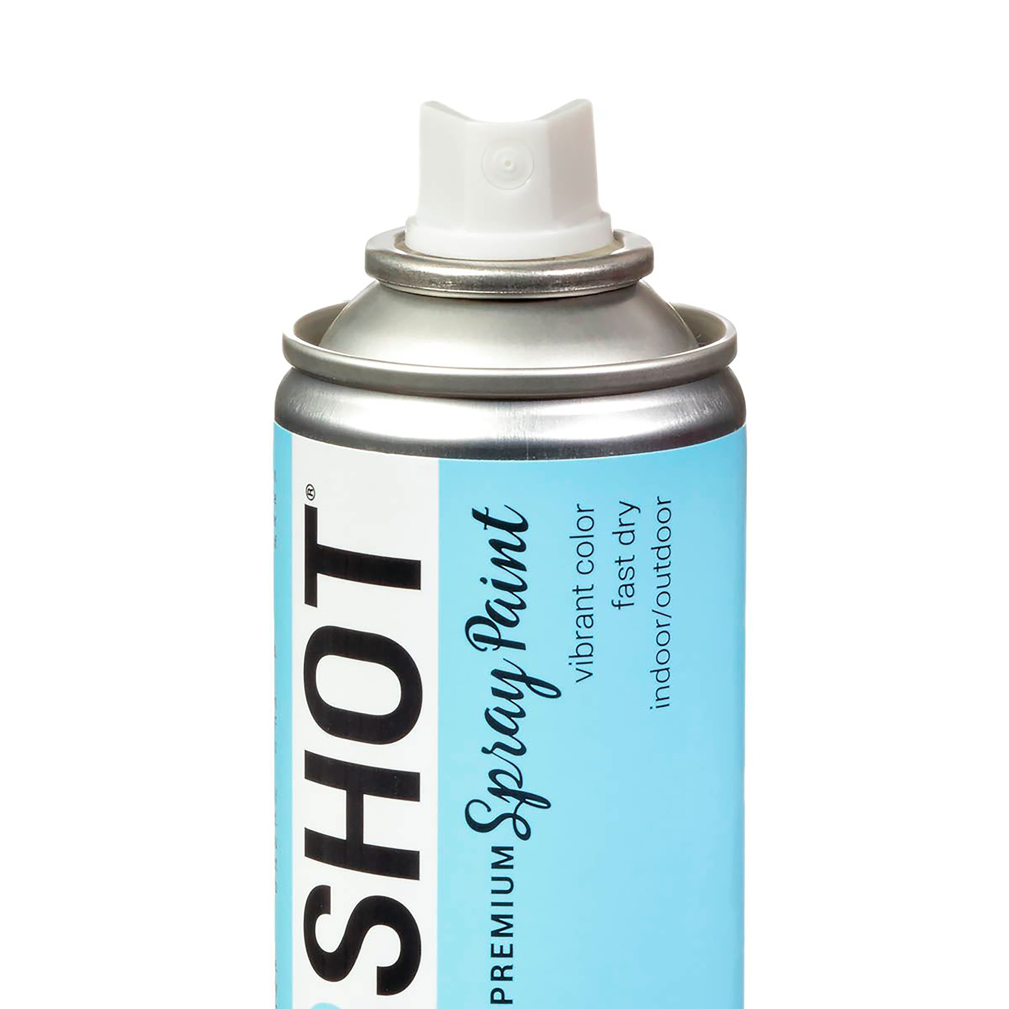 COLORSHOT&#xAE; Premium Gloss Spray Paint