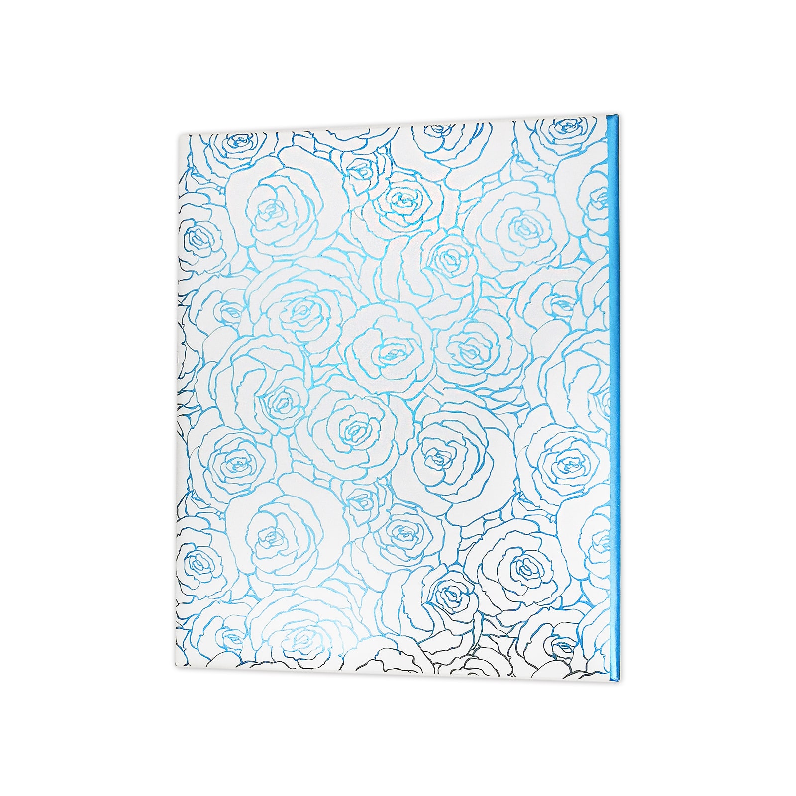 6 Pack: Blue Floral Photo Album by Recollections™