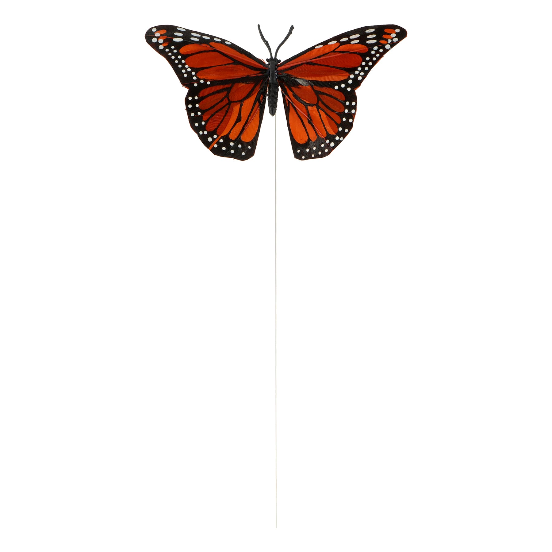 Orange Feather Butterflies, 10ct. by Ashland&#xAE;