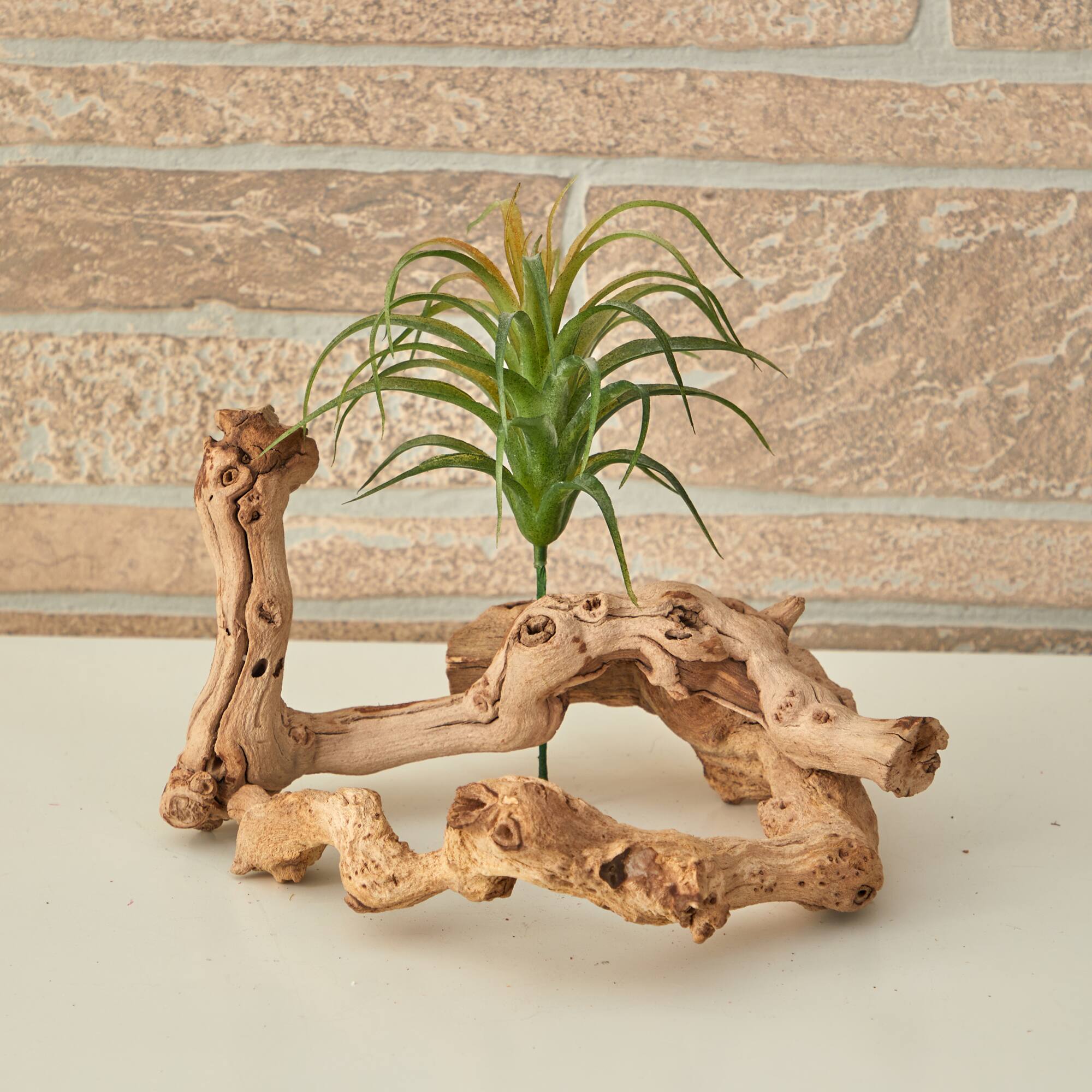 8" Tillandsia Artificial Flower (Set of 12)