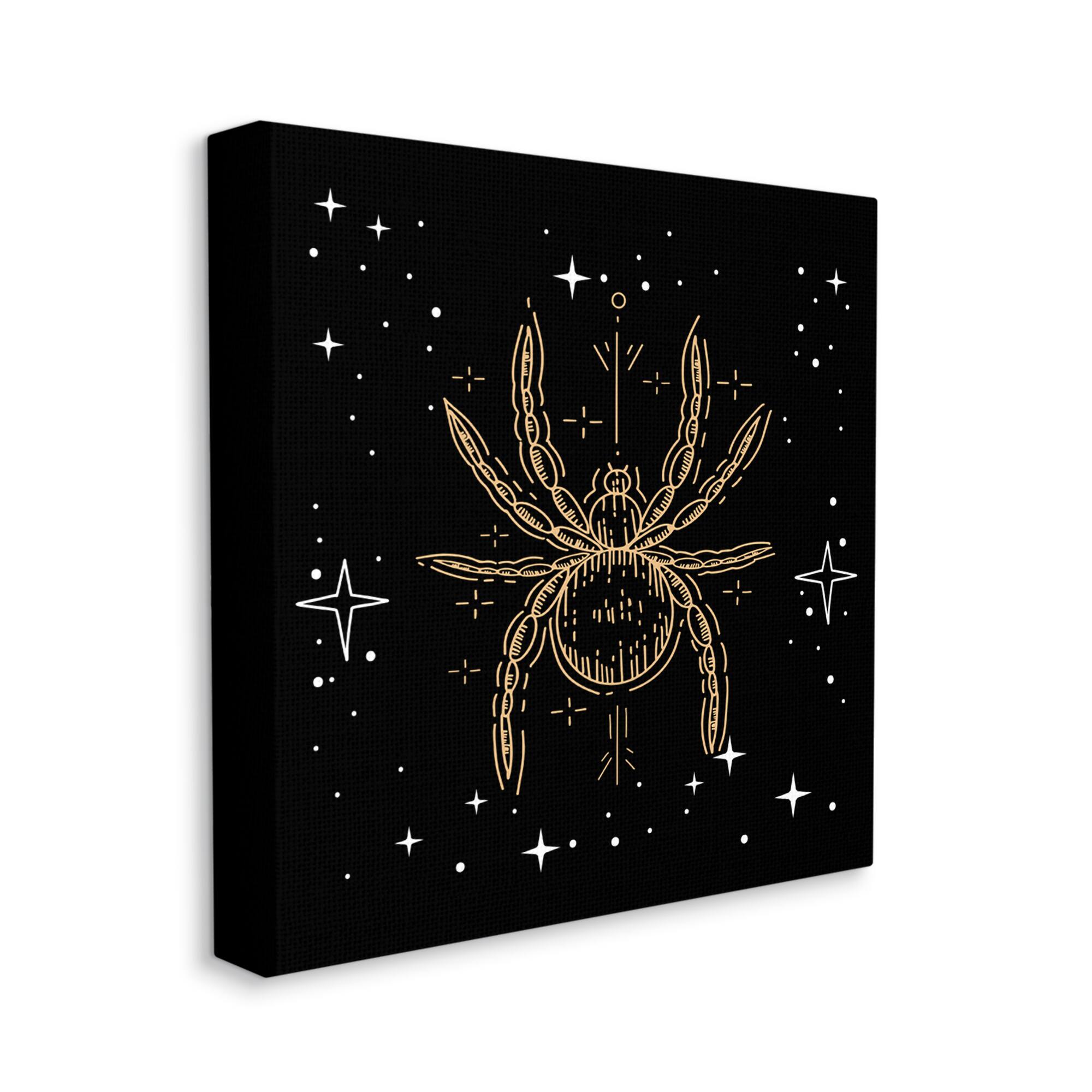 Stupell Industries Starry Halloween Spider Insect Canvas Wall Art