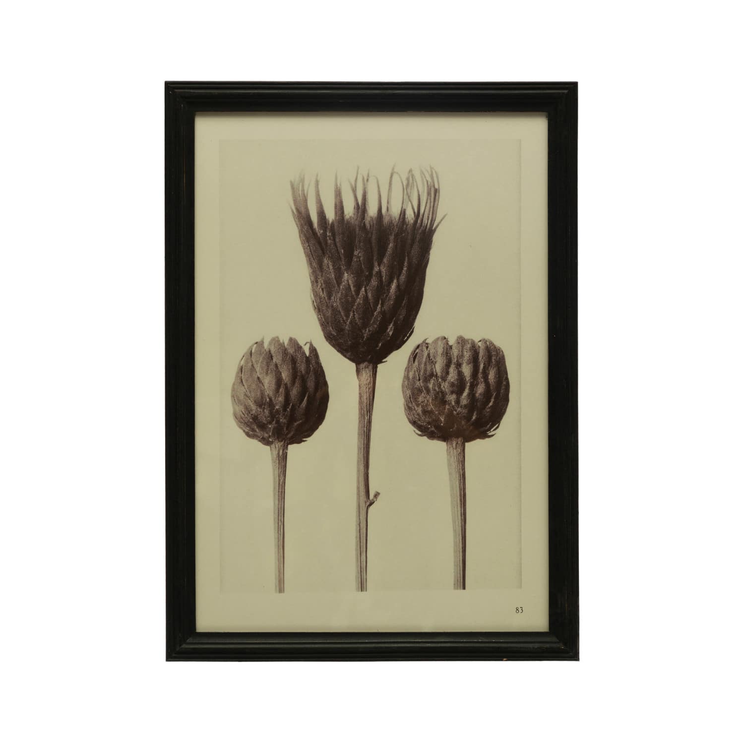 Hello Honey&#xAE; Artichoke Print Wall Art with Glass Cover