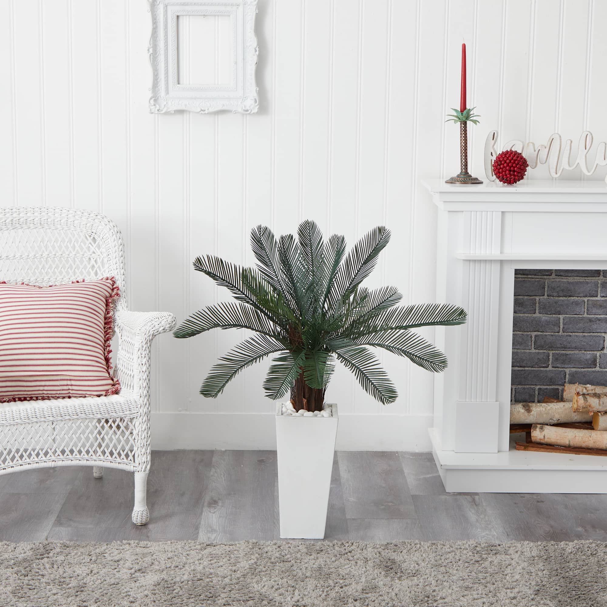 3.5ft. Cycas Tree in White Tower Planter