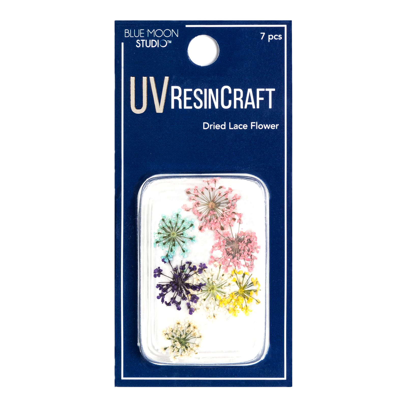 12 Packs: 7 ct. (84 total) Blue Moon Studio&#x2122; UV Resin Craft Dried Queen Anne&#x27;s Lace Flowers