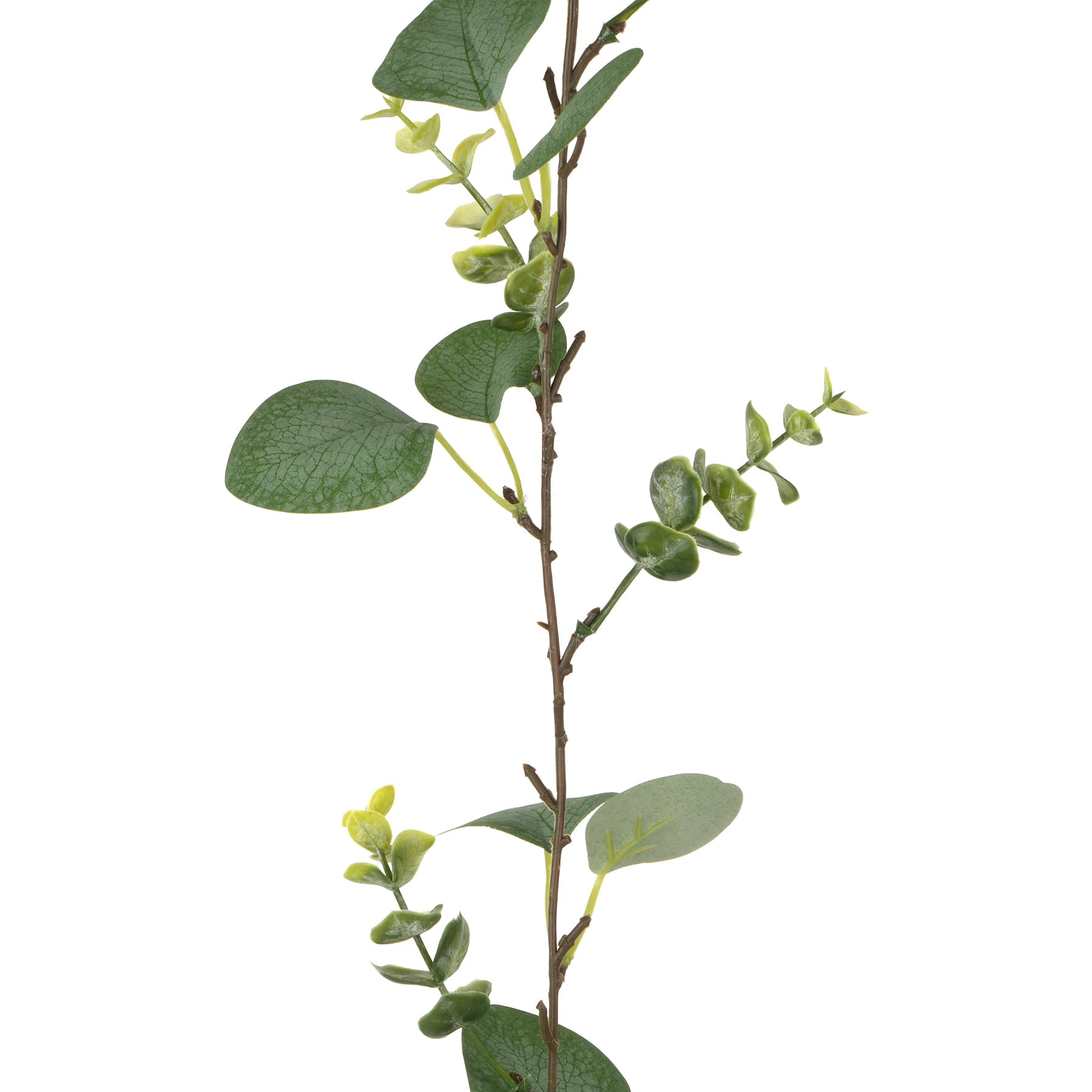 5ft. Eucalyptus Mix Coiled Garland by Ashland&#xAE;