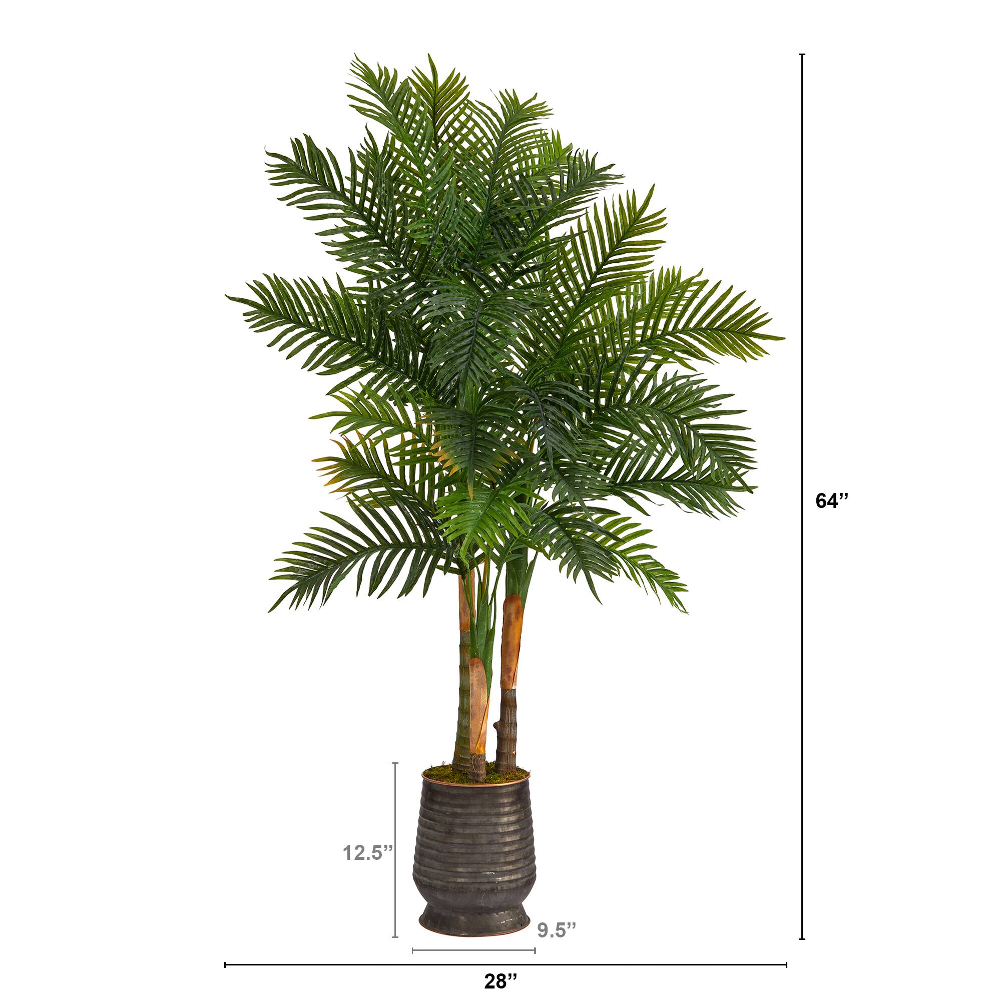 5.5ft. Areca Palm Tree in Ribbed Metal Planter