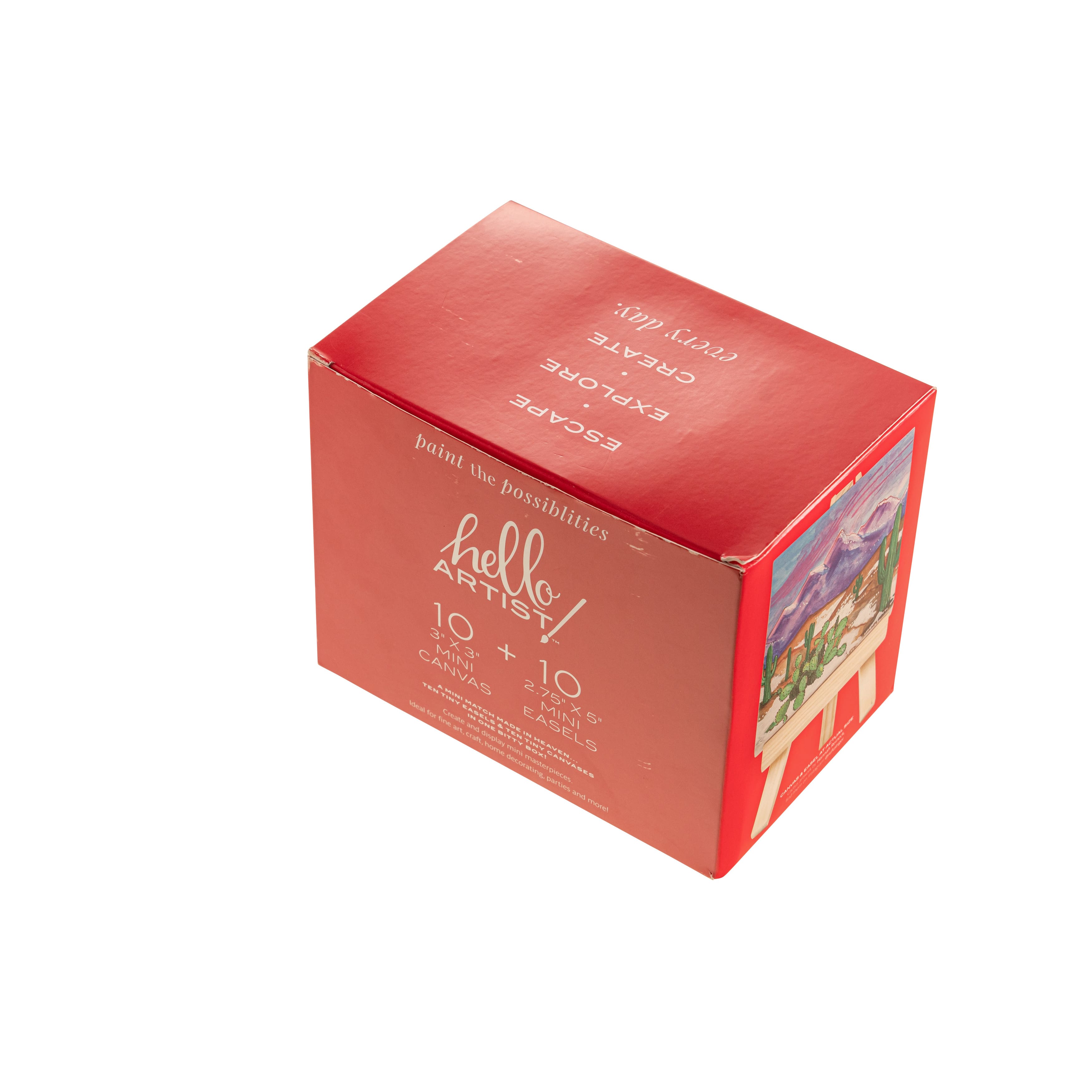 Hello Artist!™ Mini Canvas with Easel Party Pack