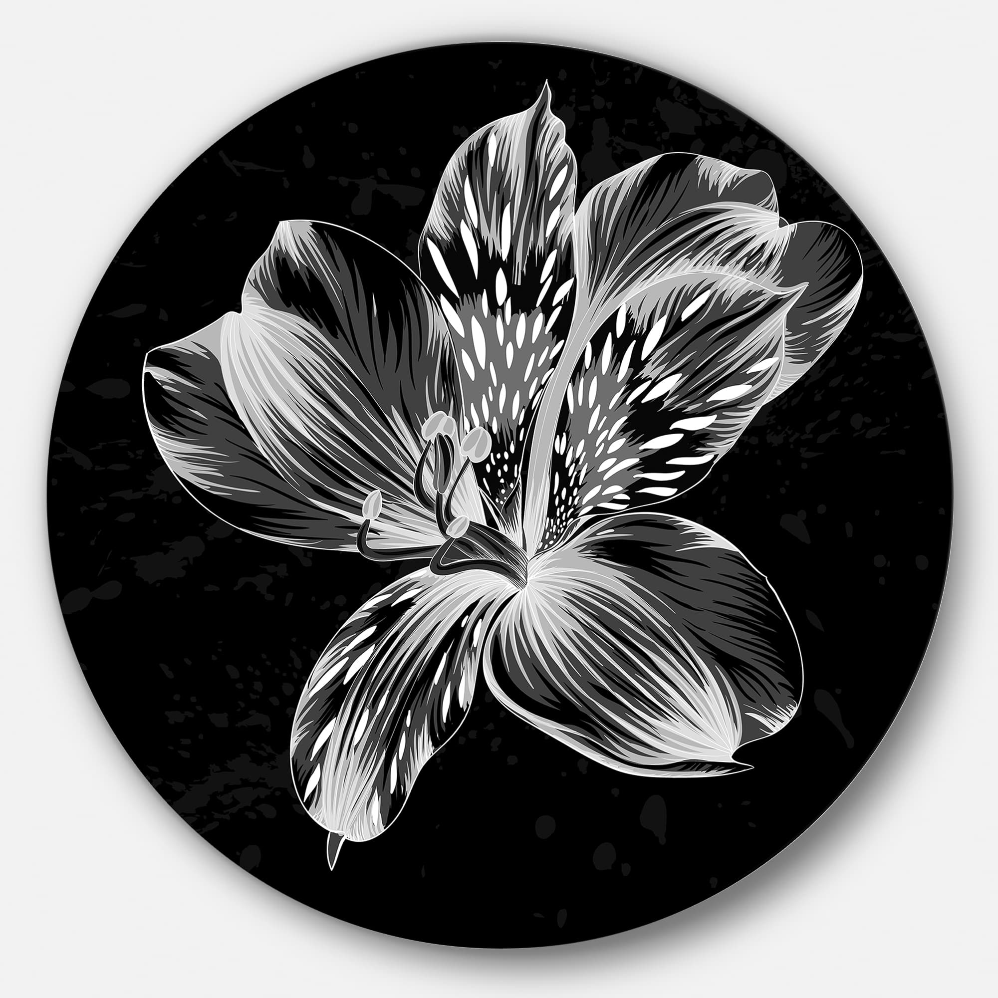 Designart - Beautiful Monochrome Alstroemeria Flower' Extra Large Floral Wall Art