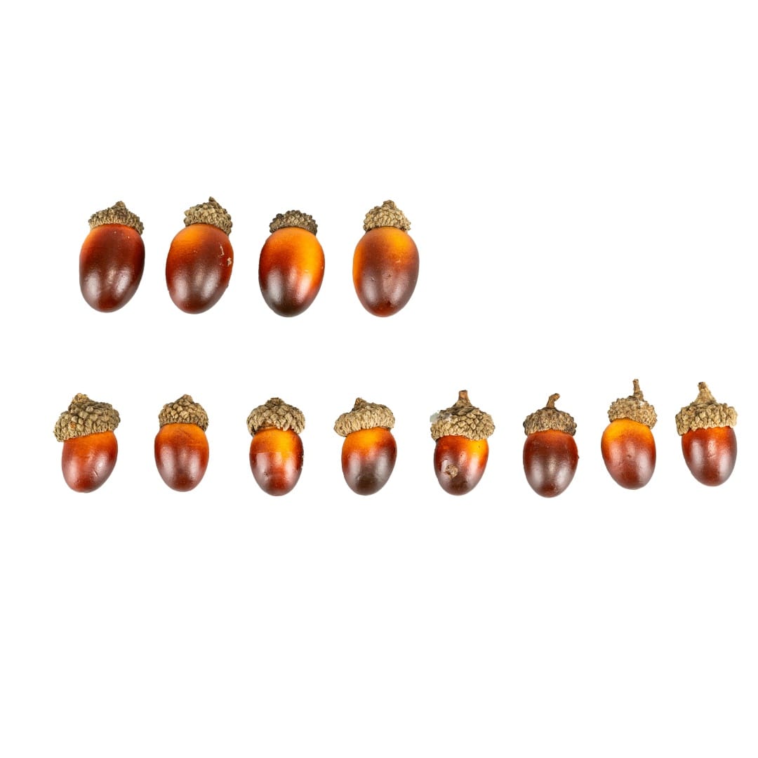 Acorns Decorative Components by Ashland&#xAE;