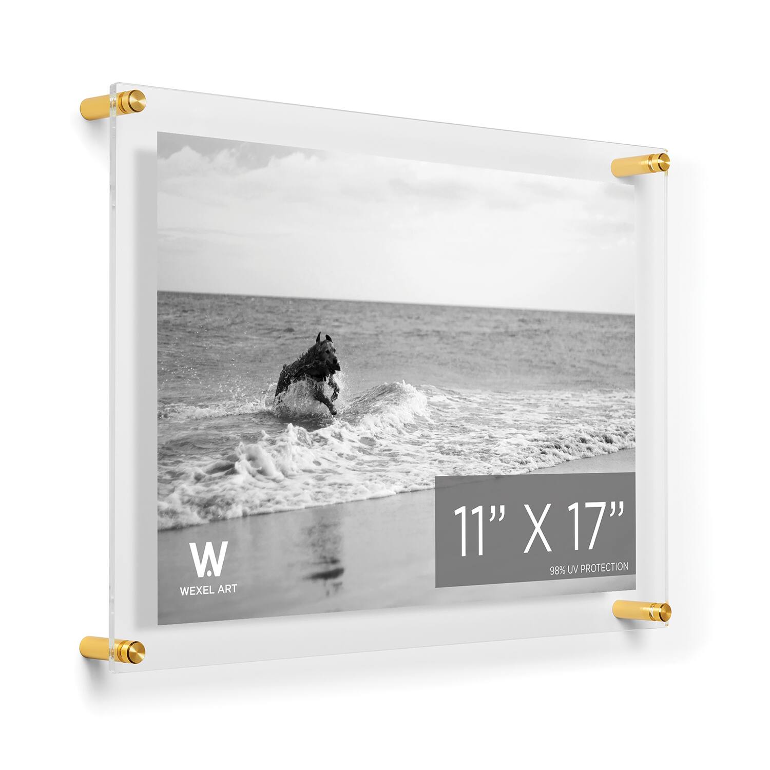 Wexel Art Double Panel Clear Acrylic Floating Wall Frame with Gold Hardware
