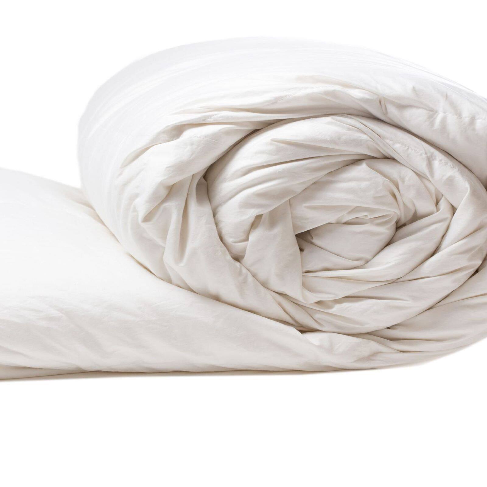 Candice Olson White Cotton &#x26; Duck Down Comforter, Twin