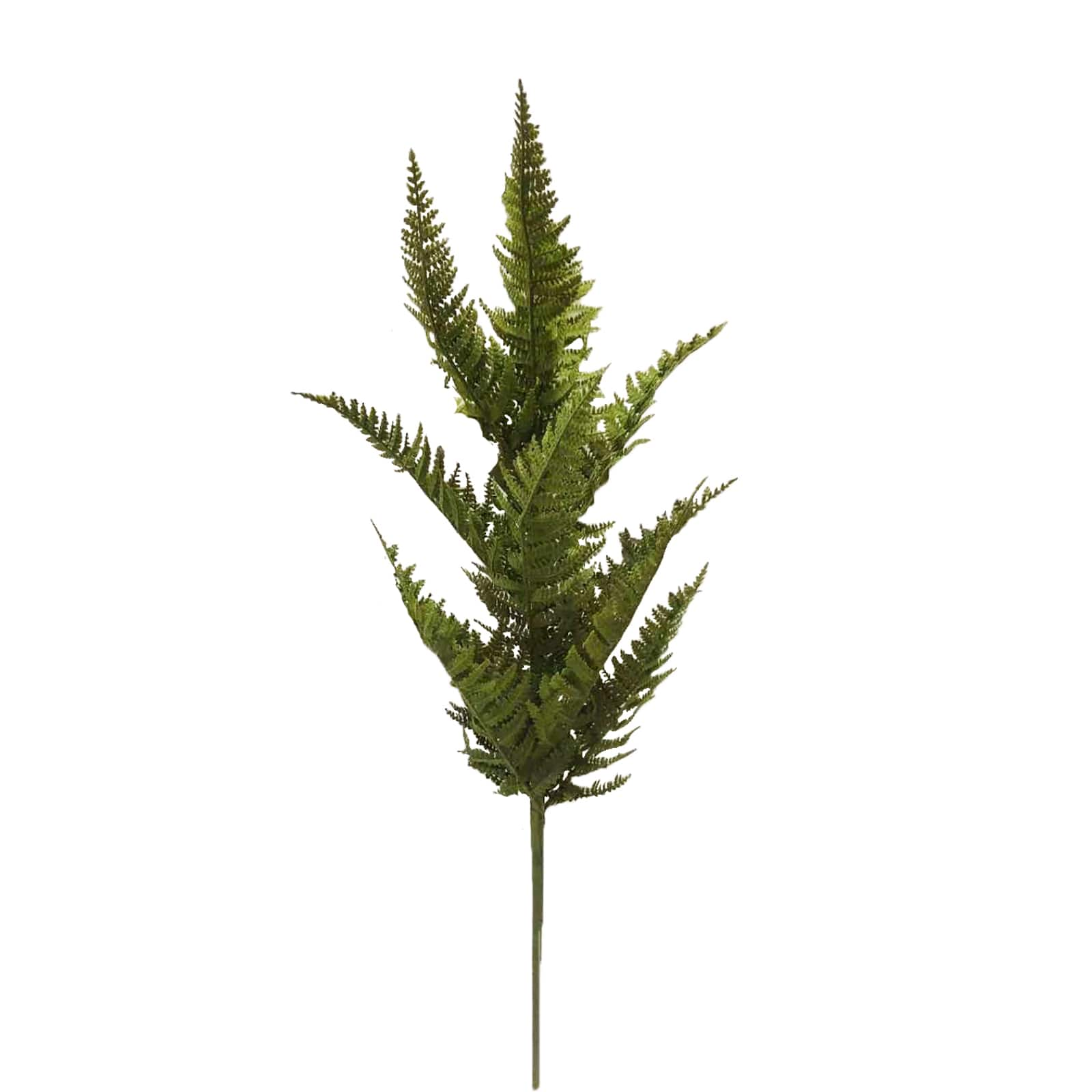 28&#x22; Dark Green Halloween Fern by Ashland&#xAE;