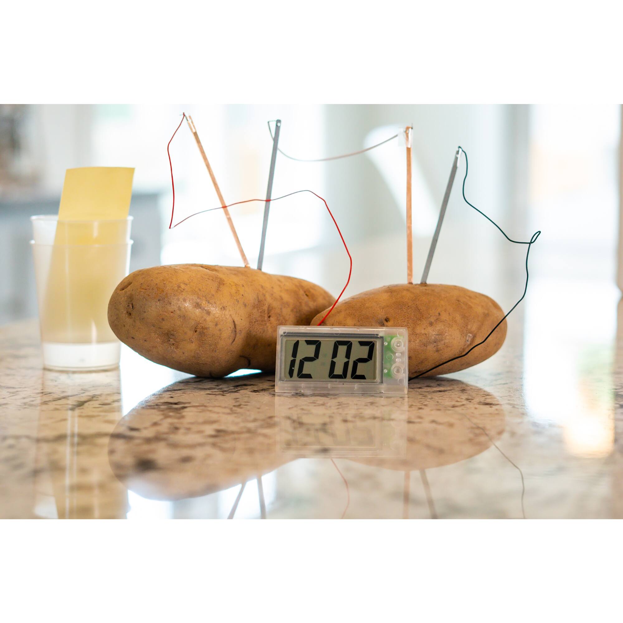 Toysmith&#xAE; Potato Clock Kit