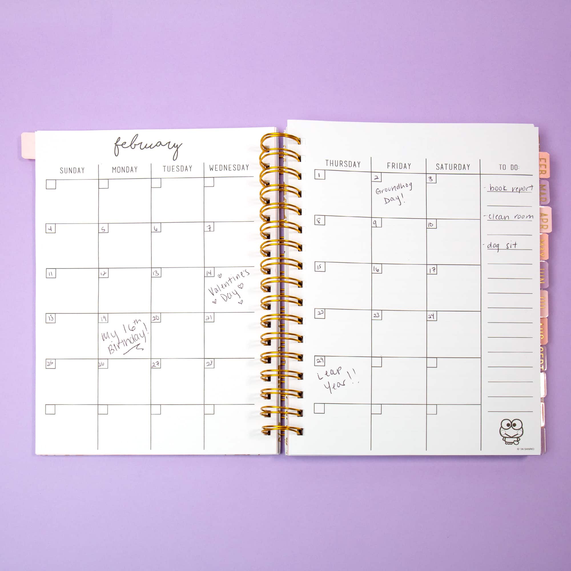 Hello Kitty&#xAE; &#x26; Friends Agenda Journal