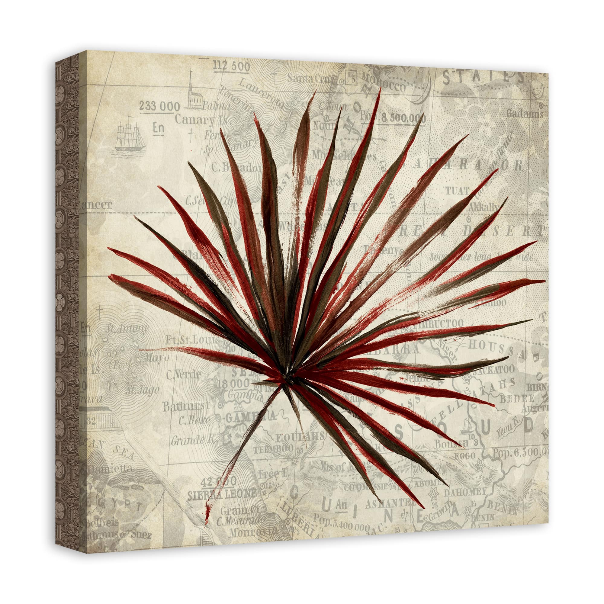 Fan Palm 16" x 16" Canvas Wall Art