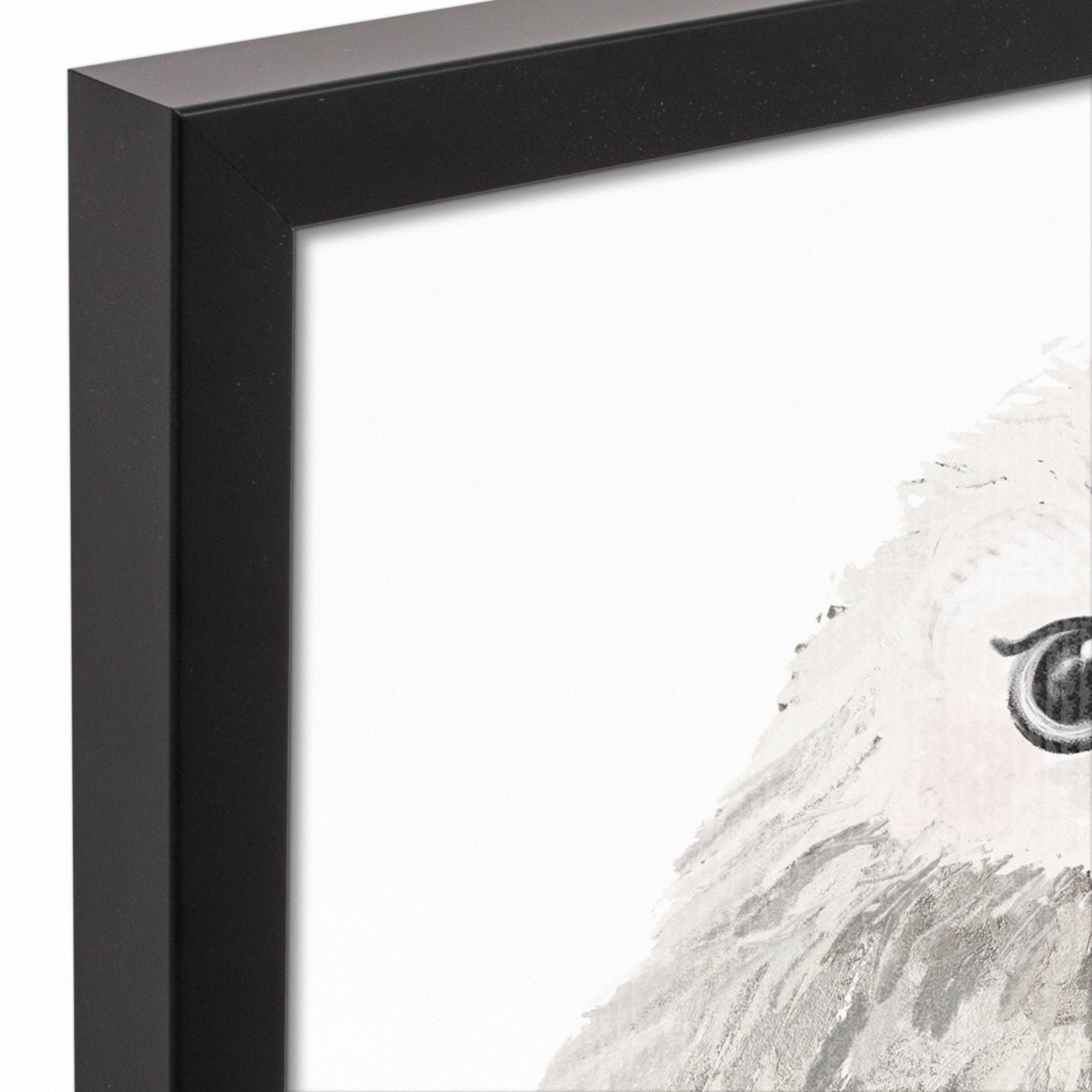 Curious Baby Owl 13.73" x 13.73" Black Framed Canvas