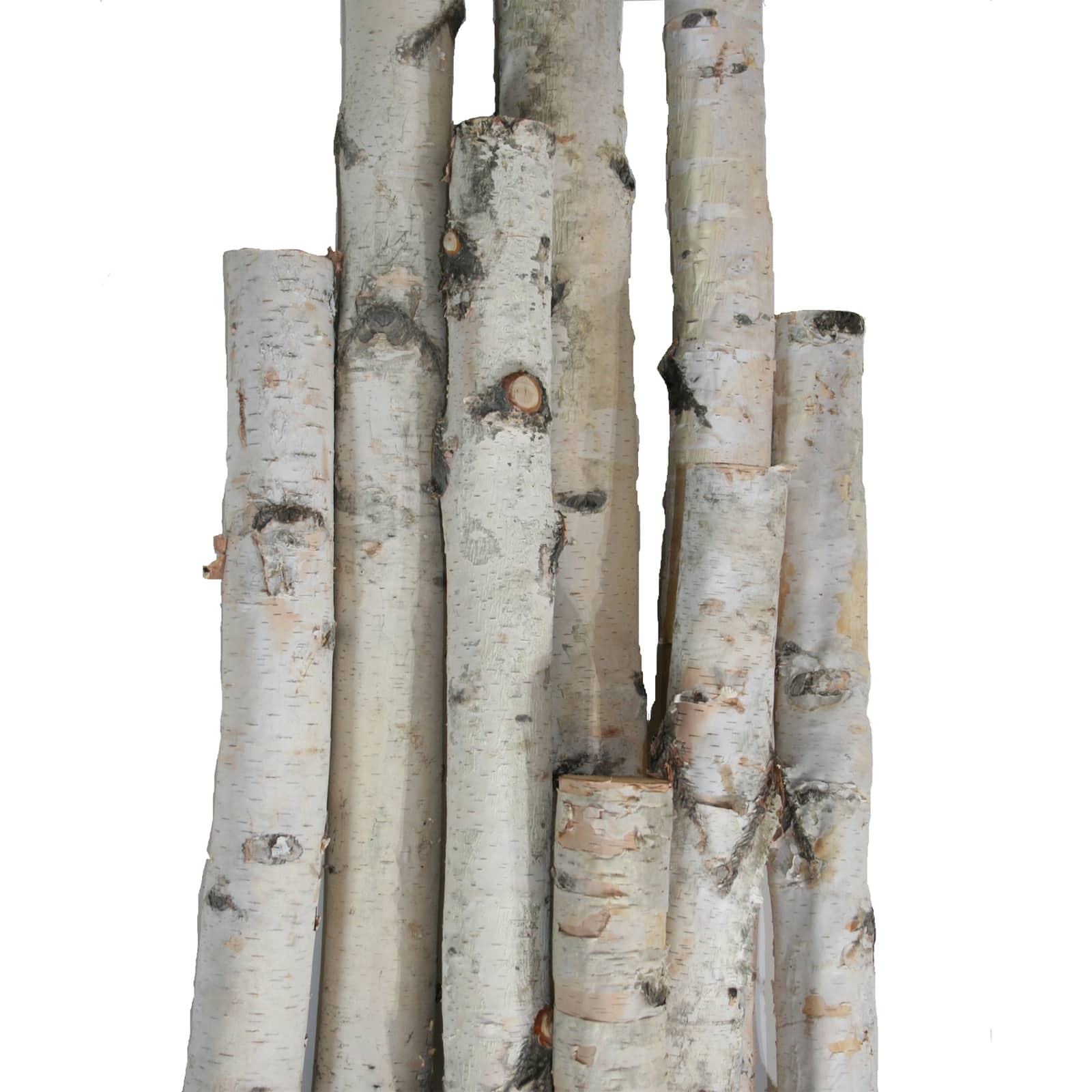 Four Thick White Birch Poles 8' offers