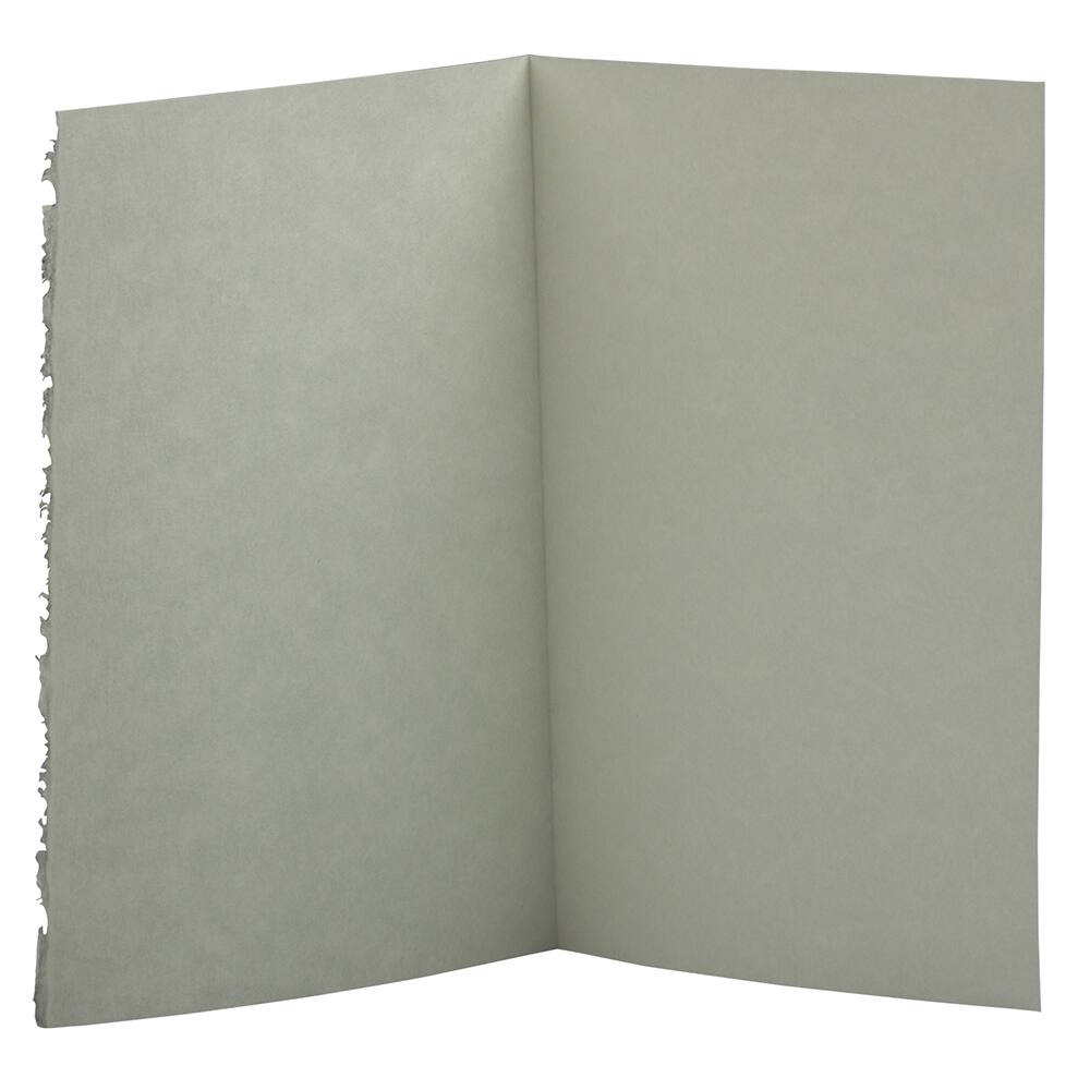 JAM Paper 3.5" x 4.875" Blank Foldover Cards, 500ct.