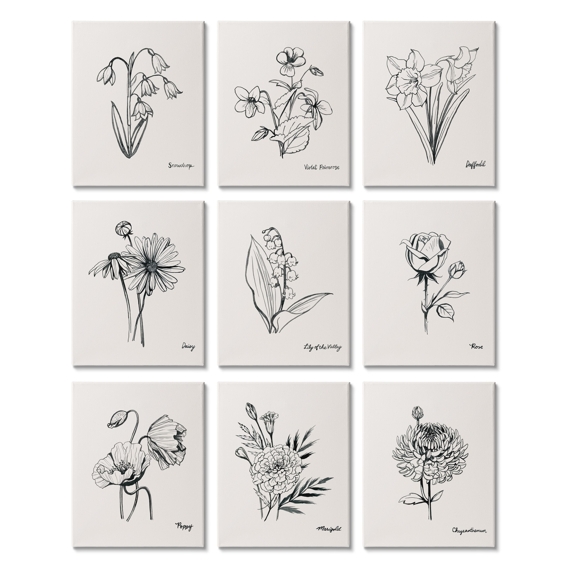 Stupell Industries Countryside Floral Illustrations Dynamic Linework,11&#x27; x 14&#x22;