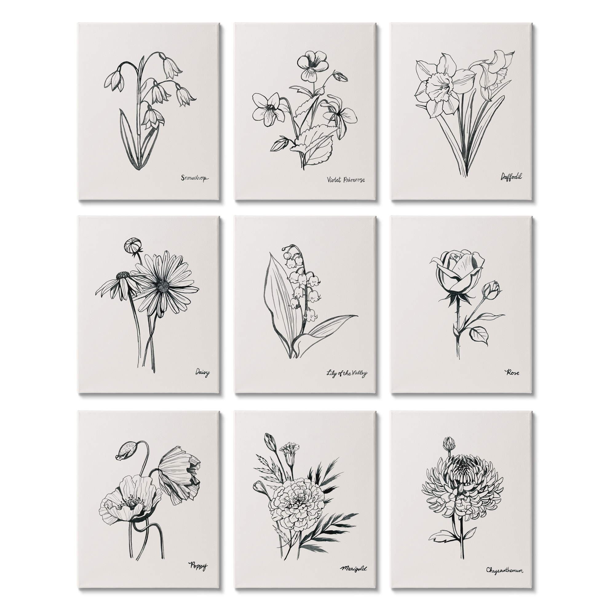 Stupell Industries Countryside Floral Illustrations Dynamic Linework,11' x 14"